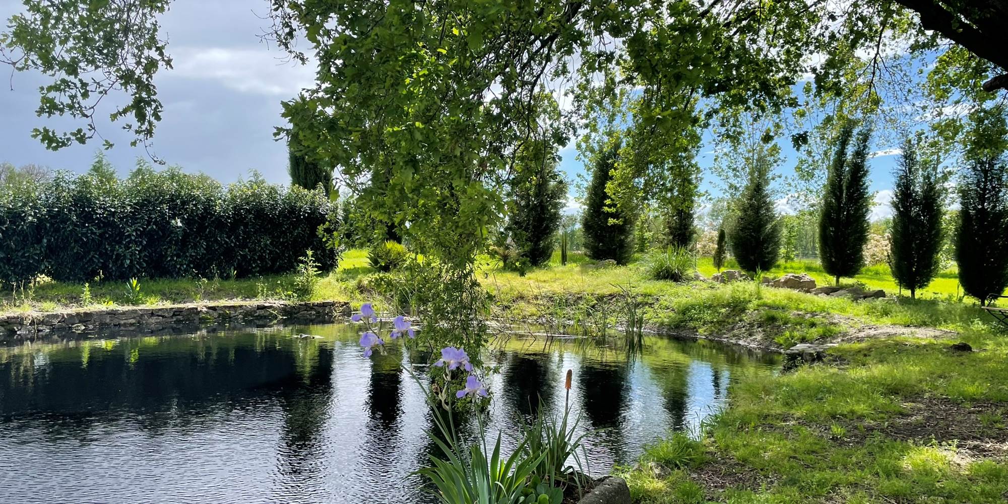 Photo de la mare - Chambres d'hôtes La Grange Richard à Dinsac
