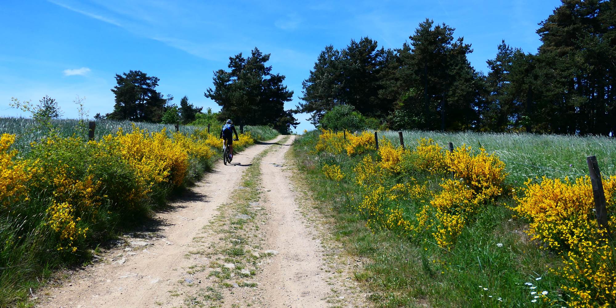 Ballade en VTT sur les chemins de Margeride