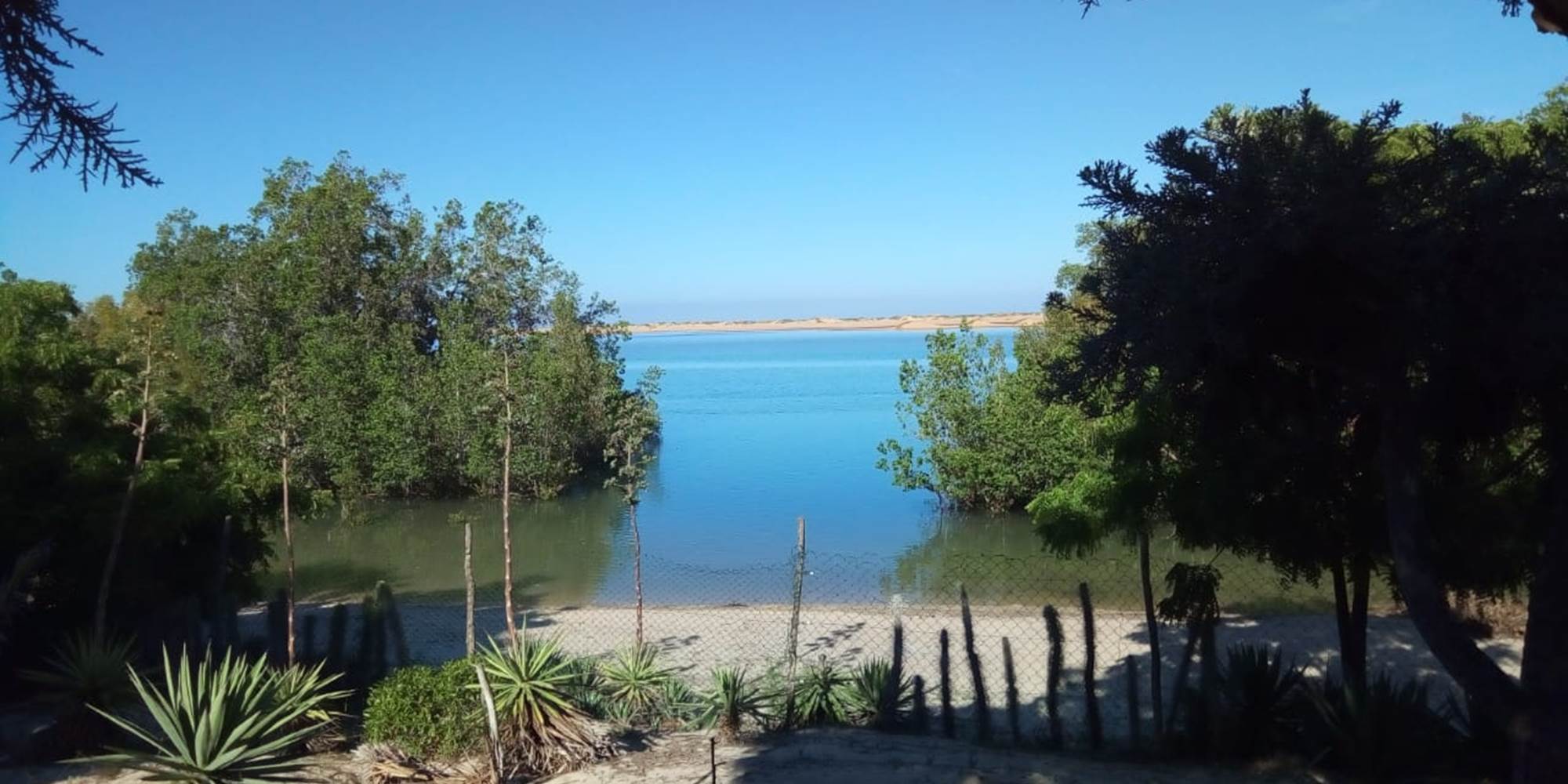 IMG-20220628-WA0068