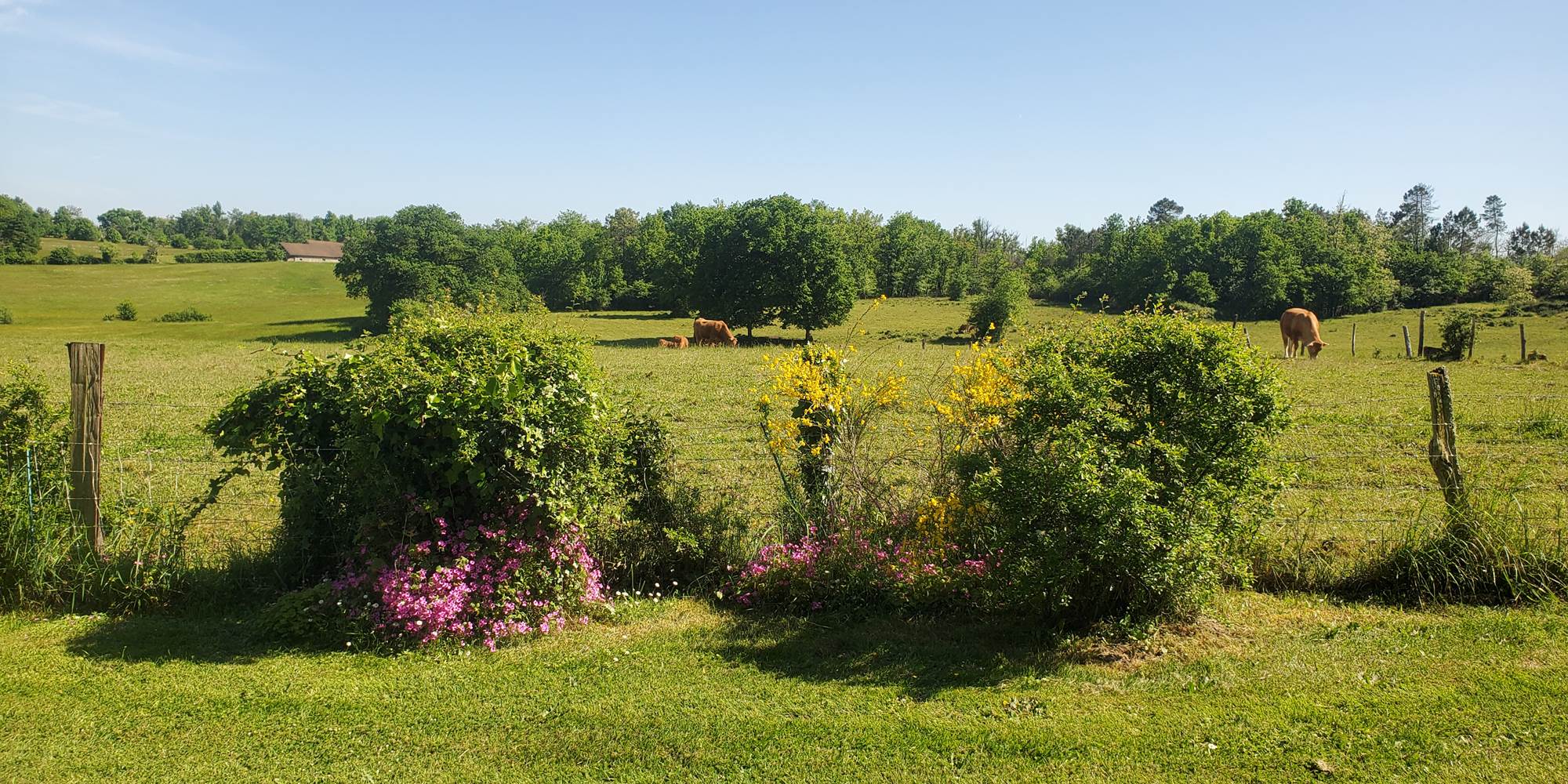 Gîte La Marteille - Jardin