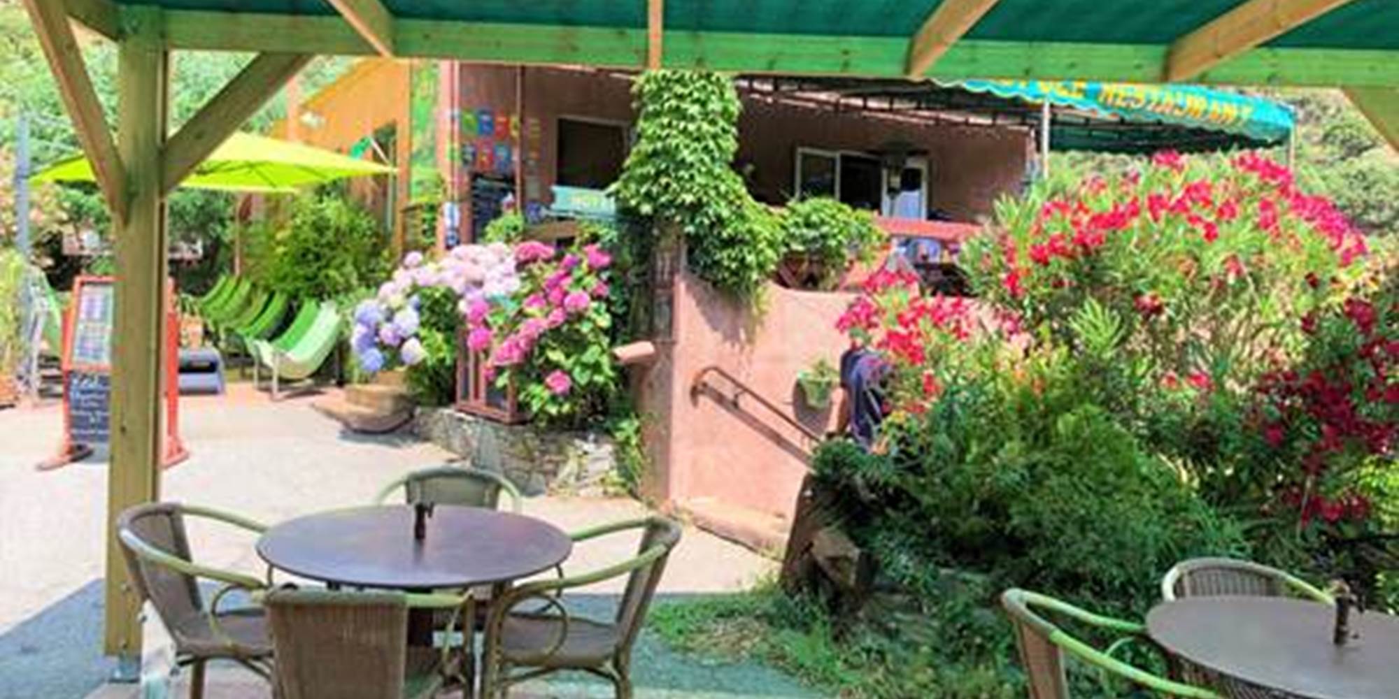 terrassearbre1