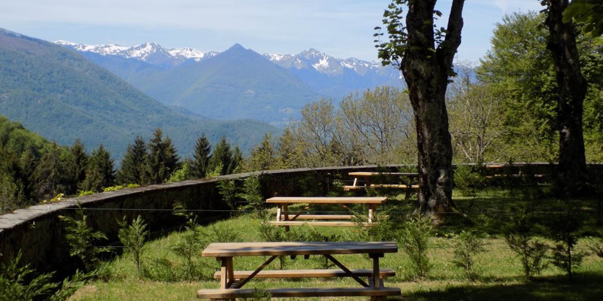 Tables des pick-nique fournie