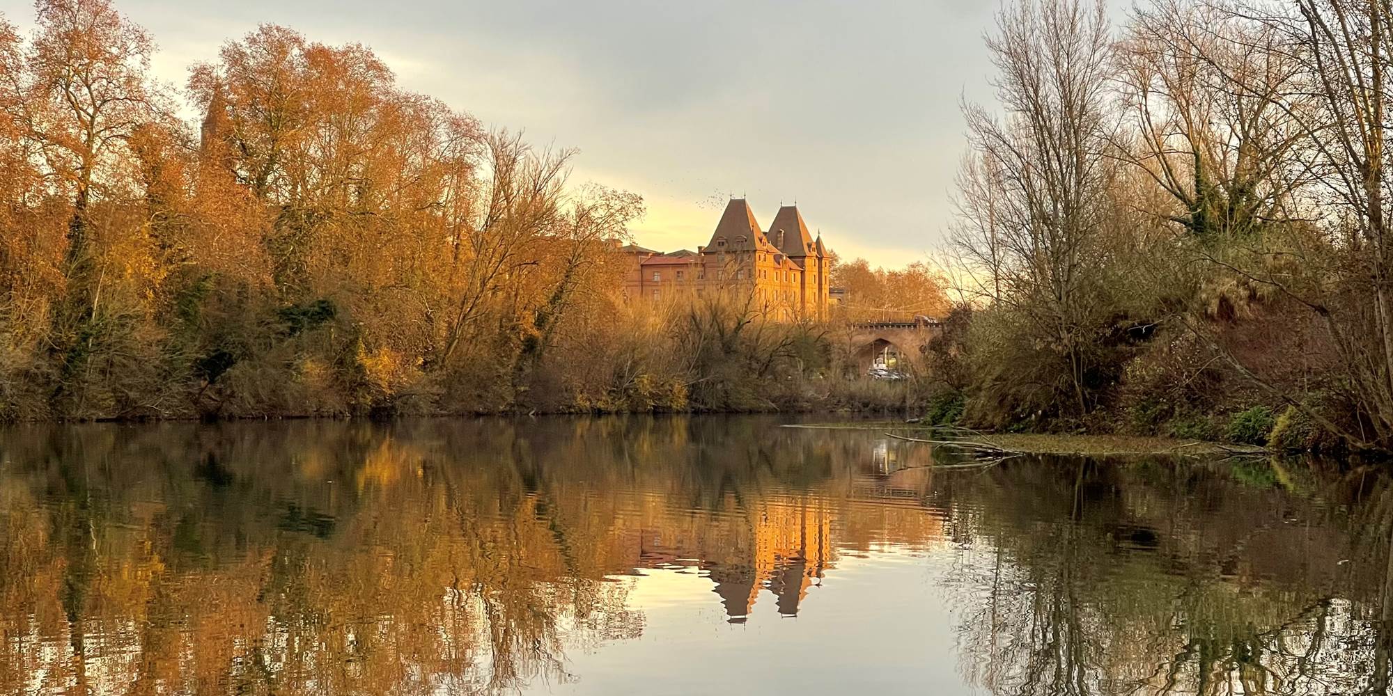 Vue du Musée Ingres Bourdelle depuis le Tarn, entre le Parc du Treil et l'Ile de la Pissotte