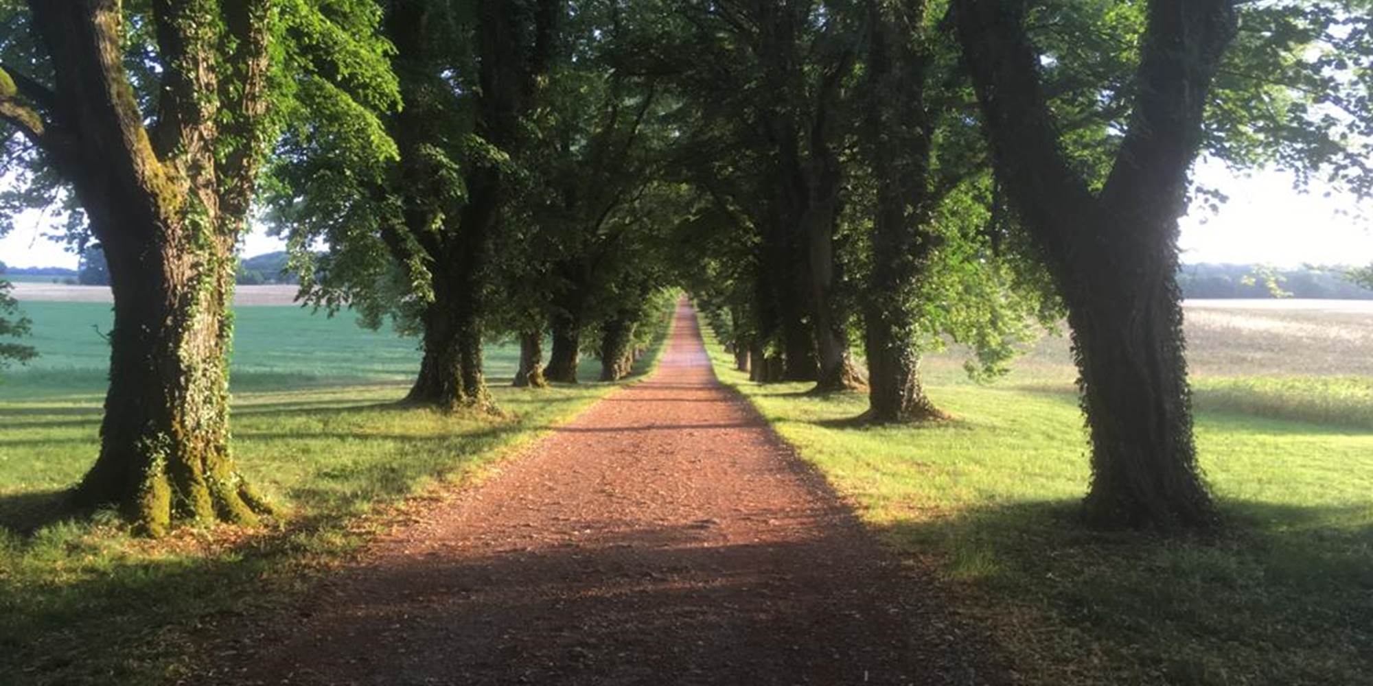 ALLEE DOMAINE DES CLAIRS CHENES