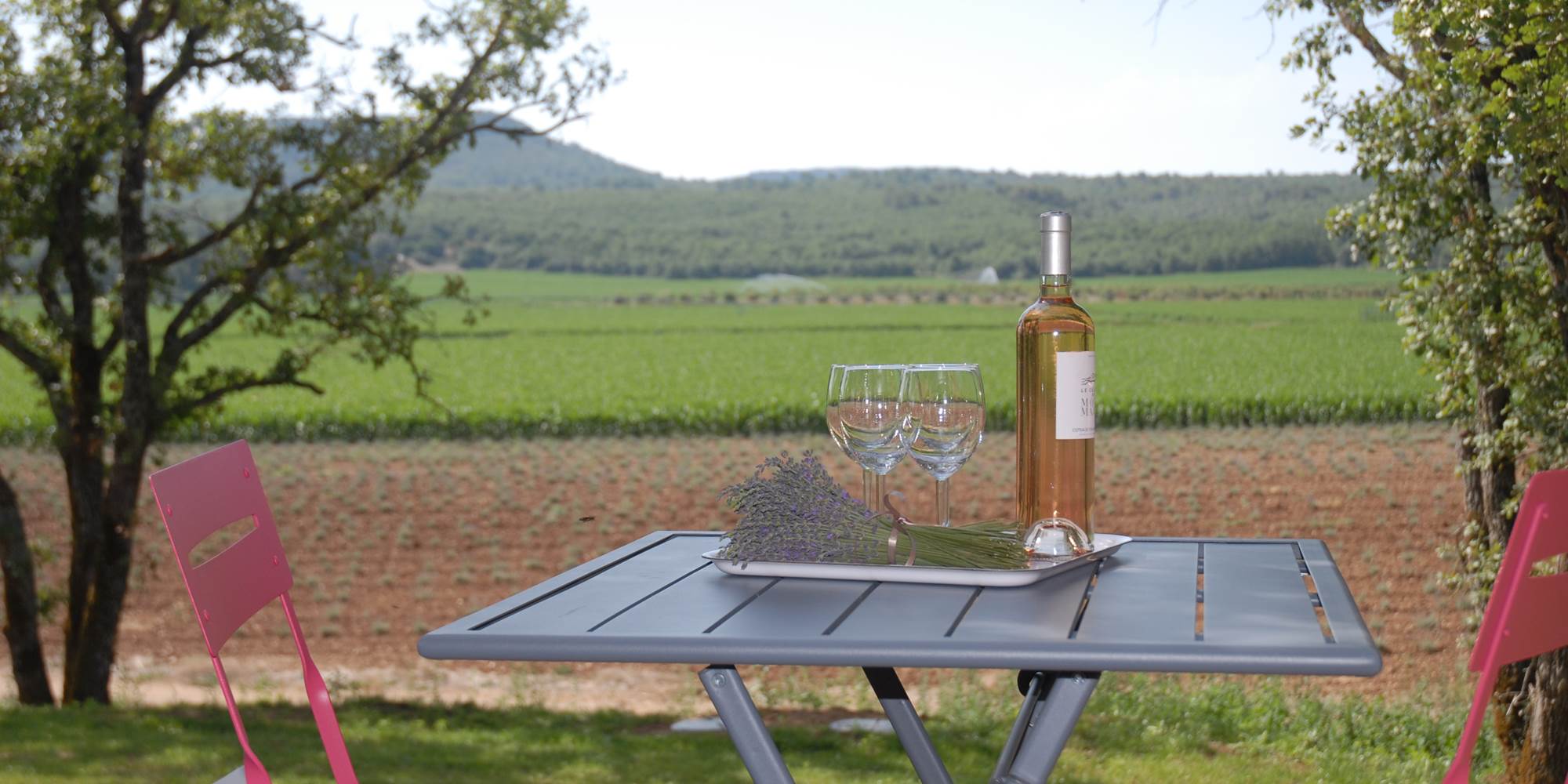 Dégustation d'un Rosé de Provence, avec modération !