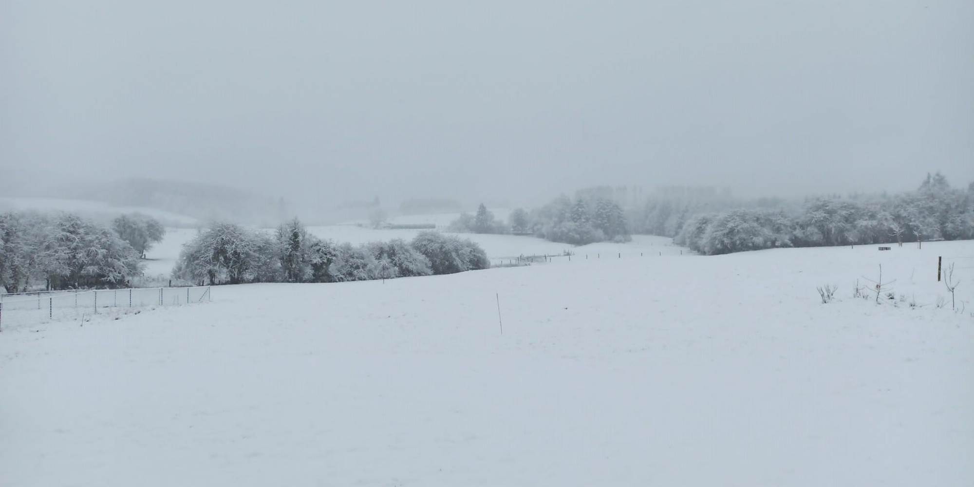 L'Oasis sous la neige