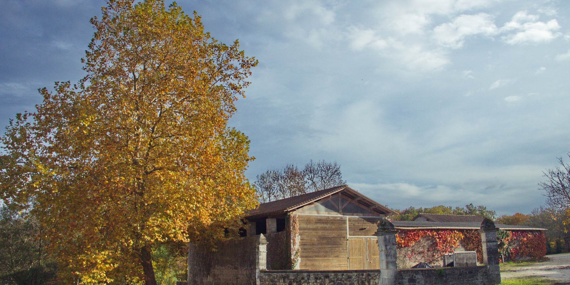 automne