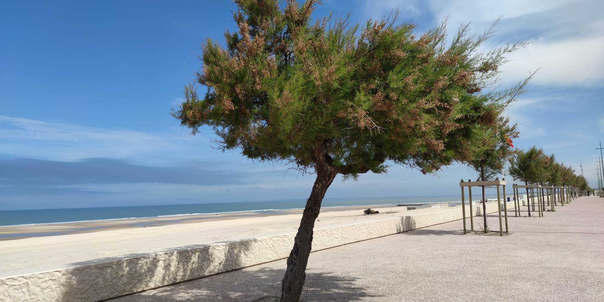 Promenade face à l'océan