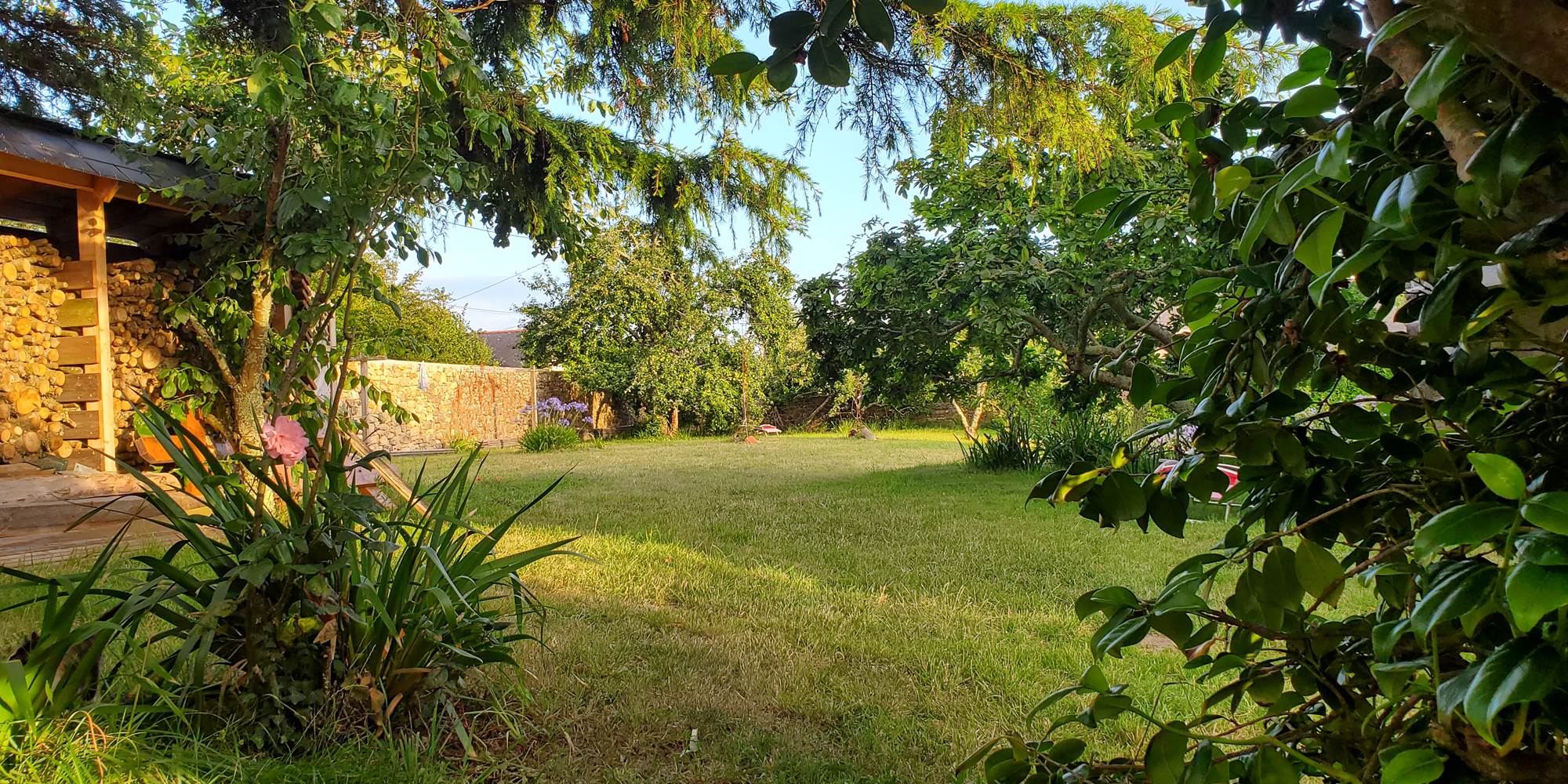 Le jardin avec ses murs d'enclos