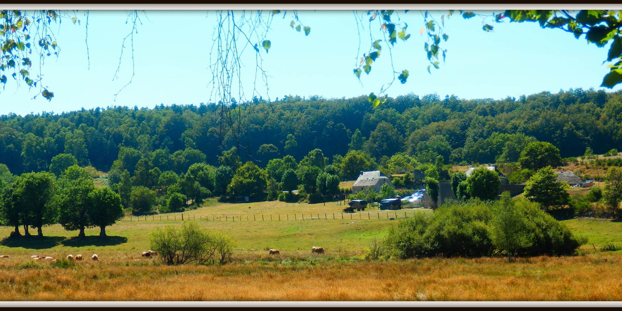 La Ferme du Verdier