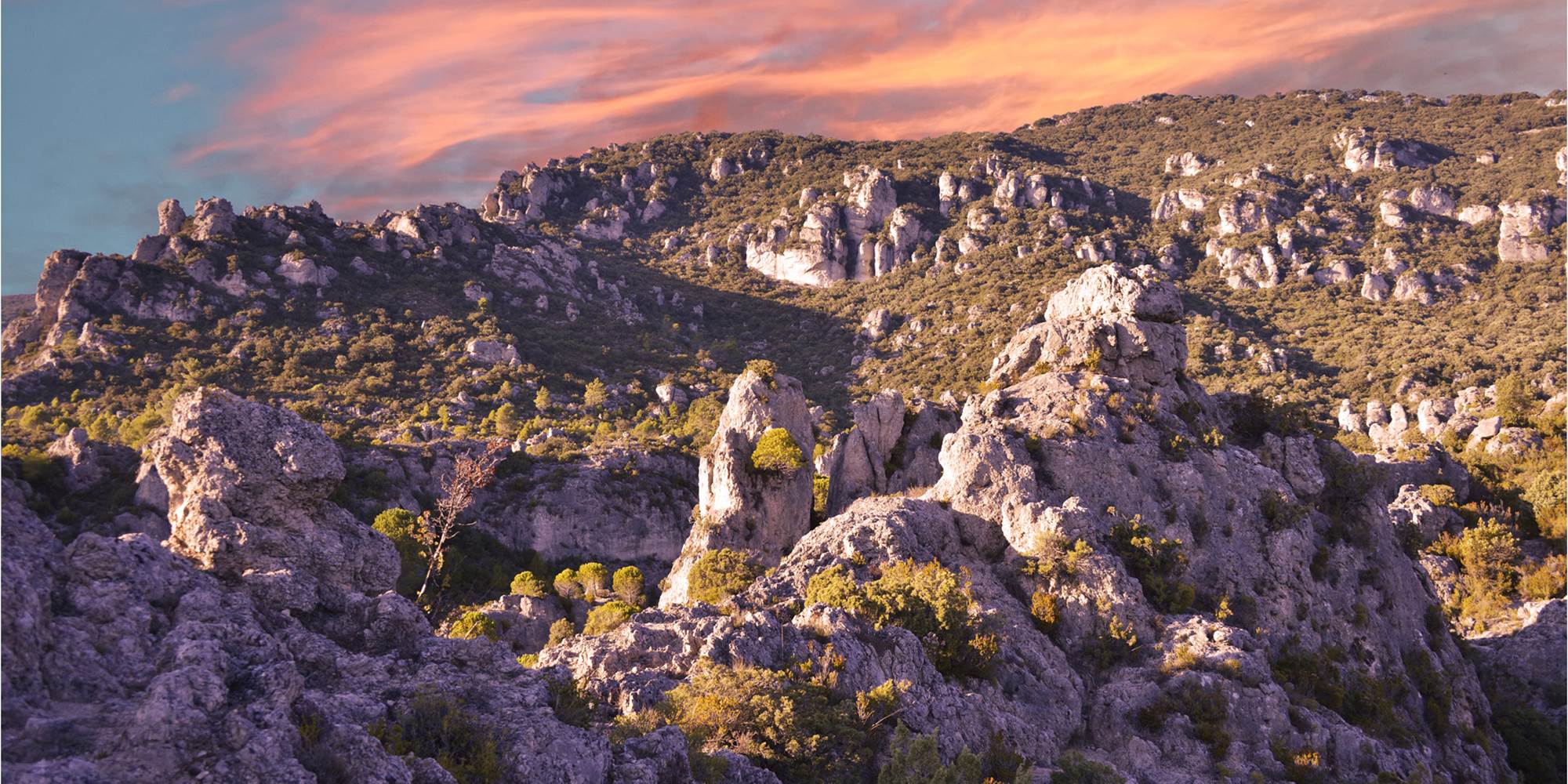 Le-rossignol-des-murailles-cirque-de-moureze