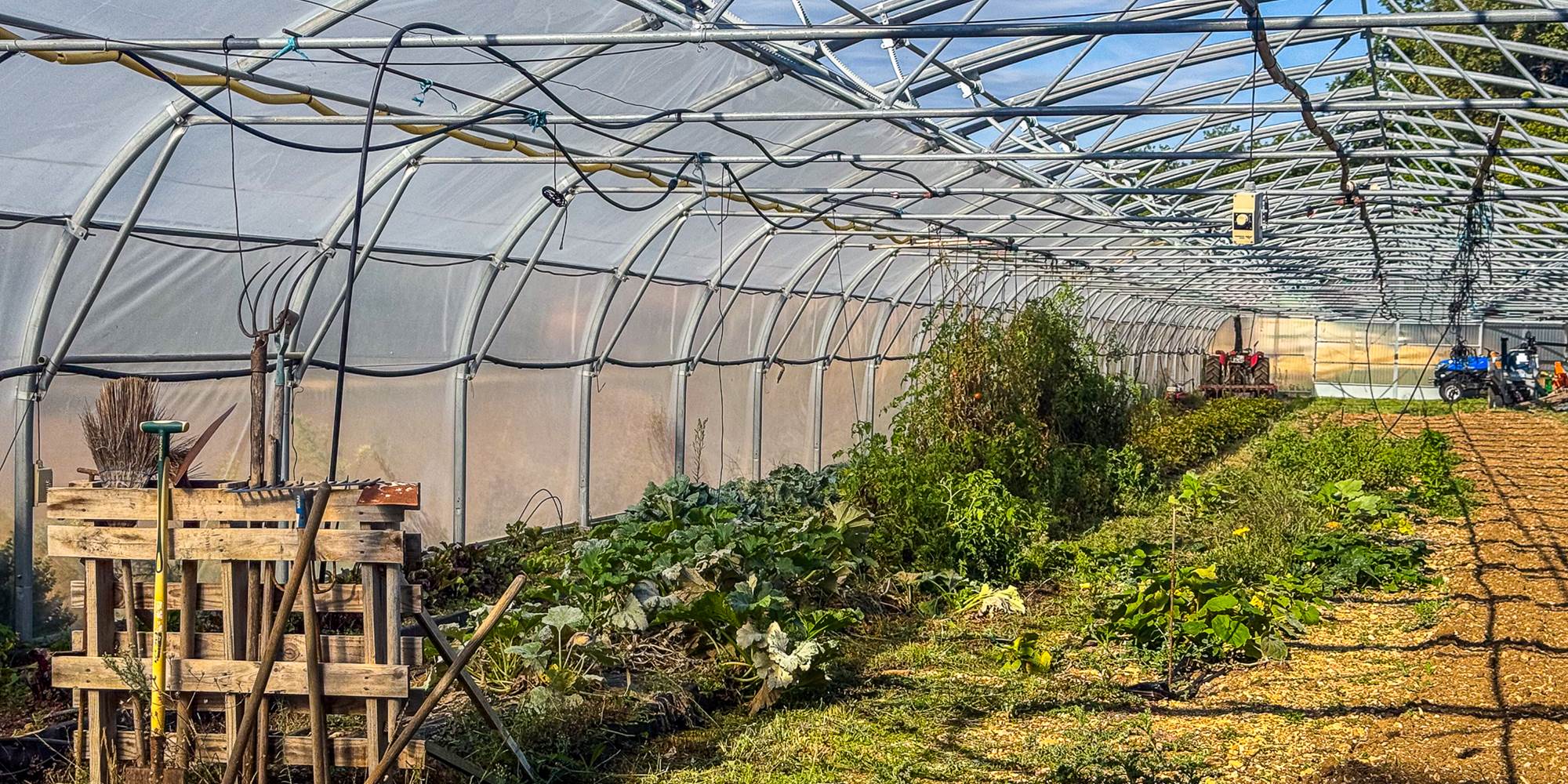 Serre agricole