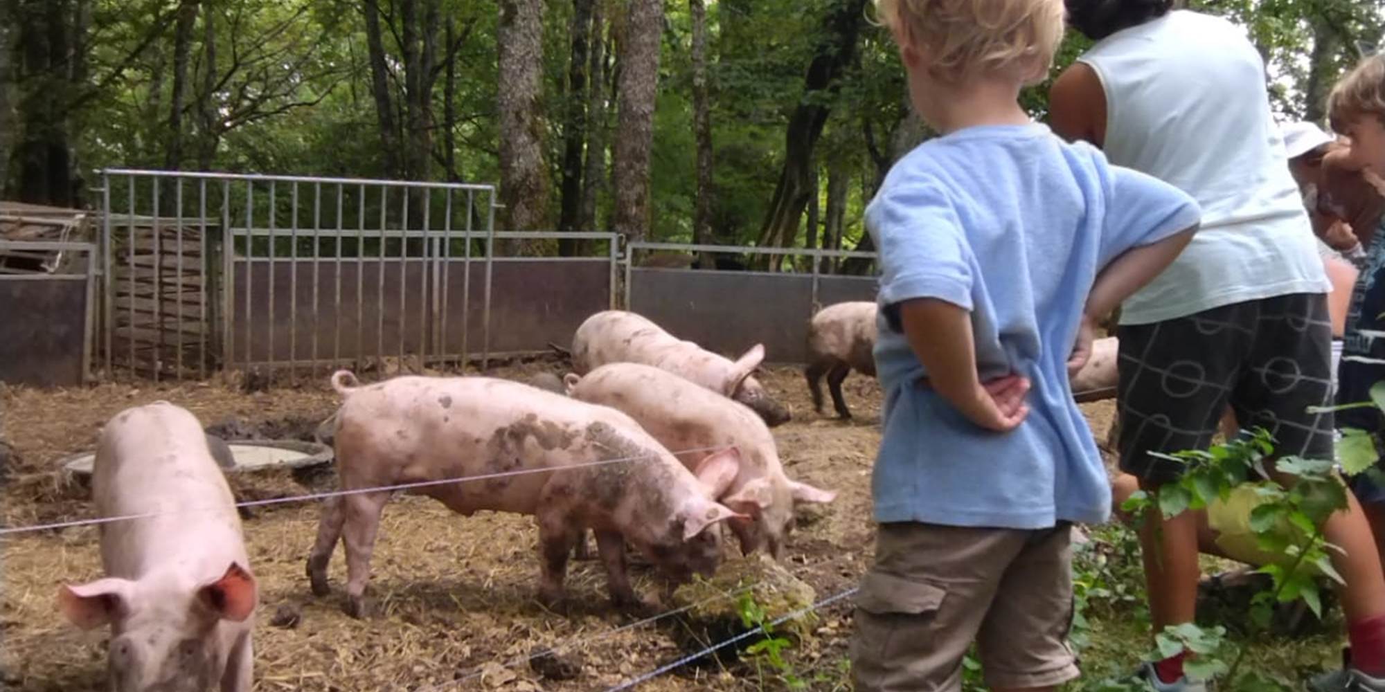 Périgord Inattendu, Accueil à la Ferme