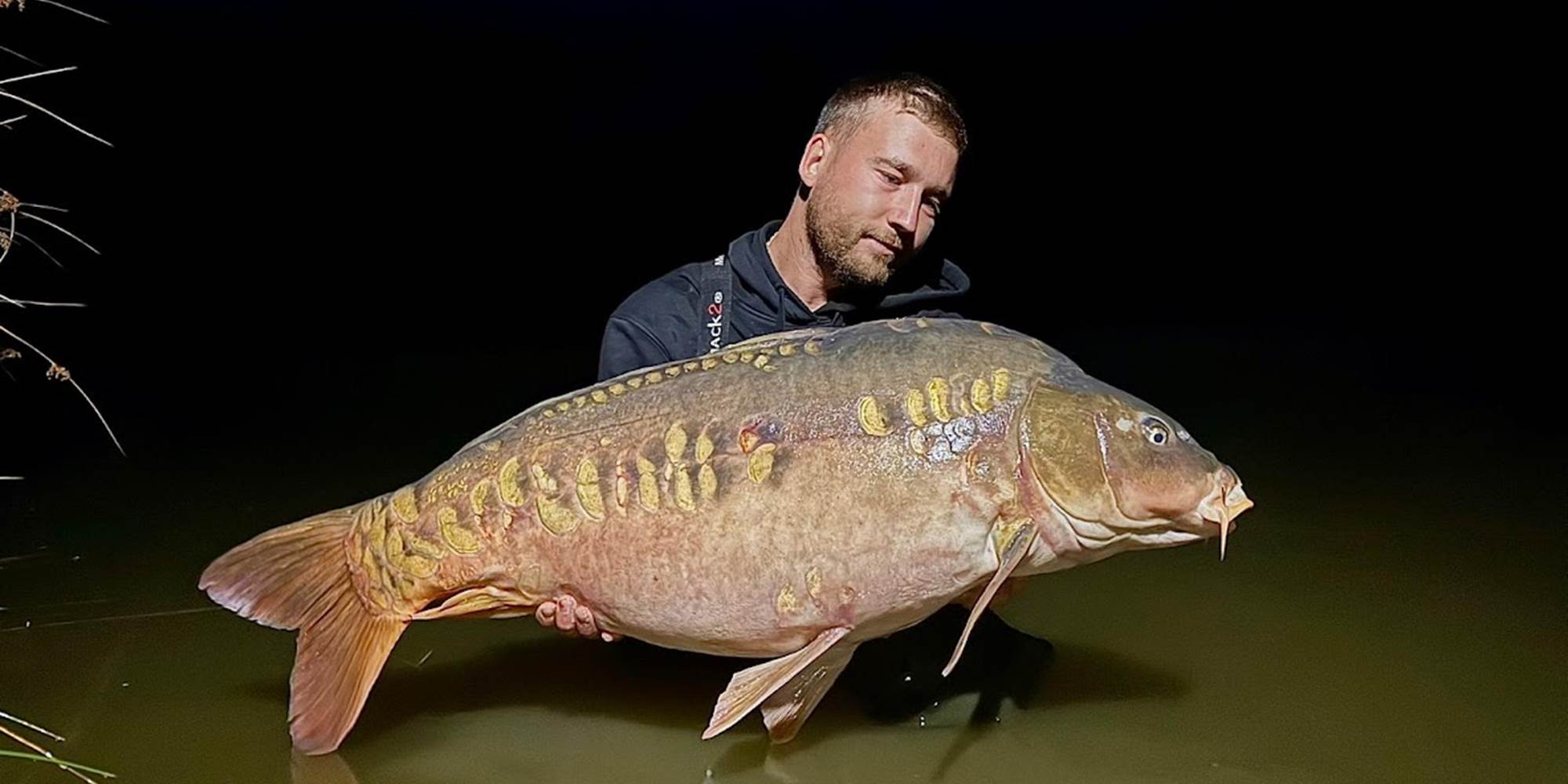 jolies carpes puyregonde