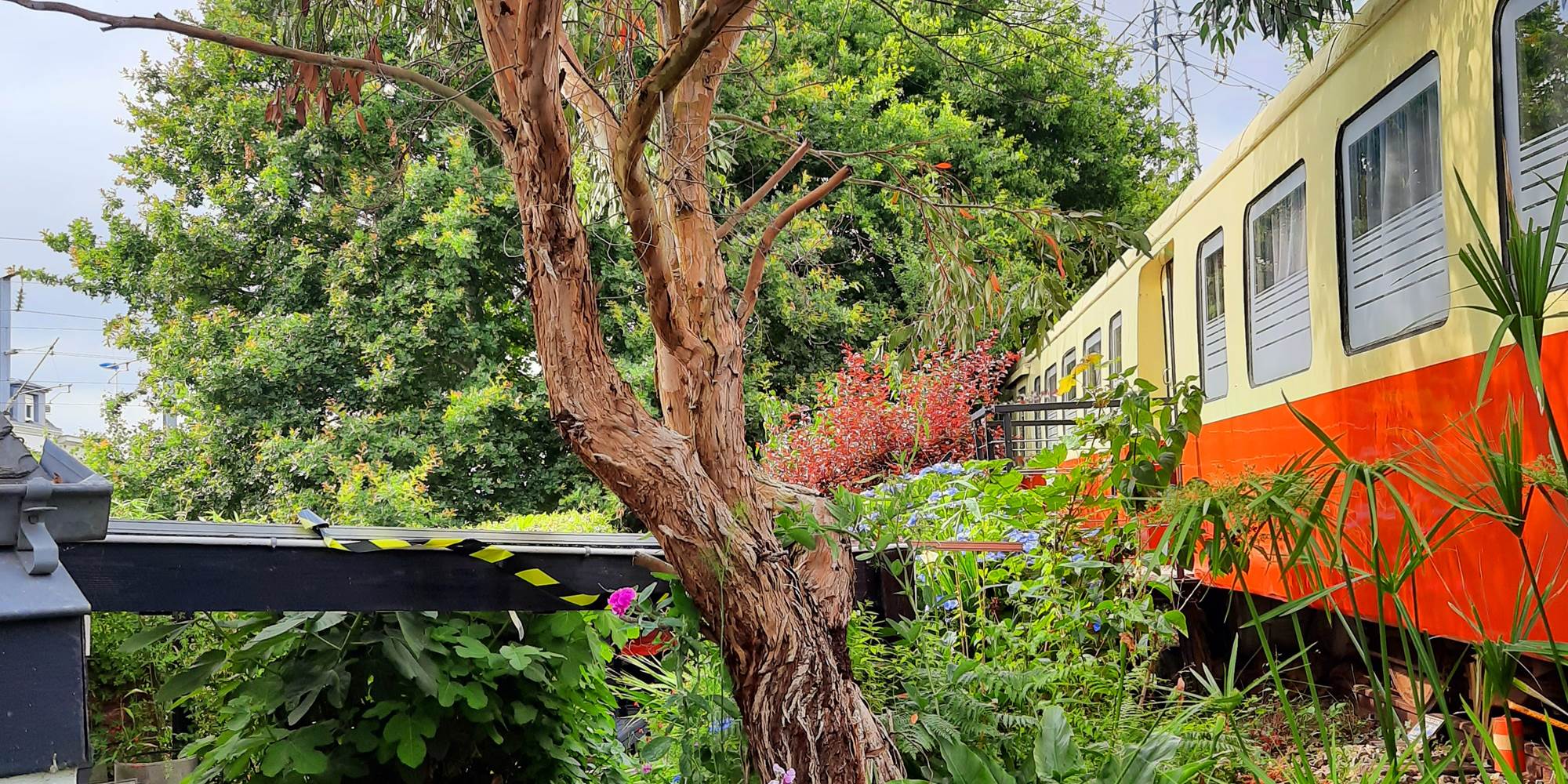 jardin