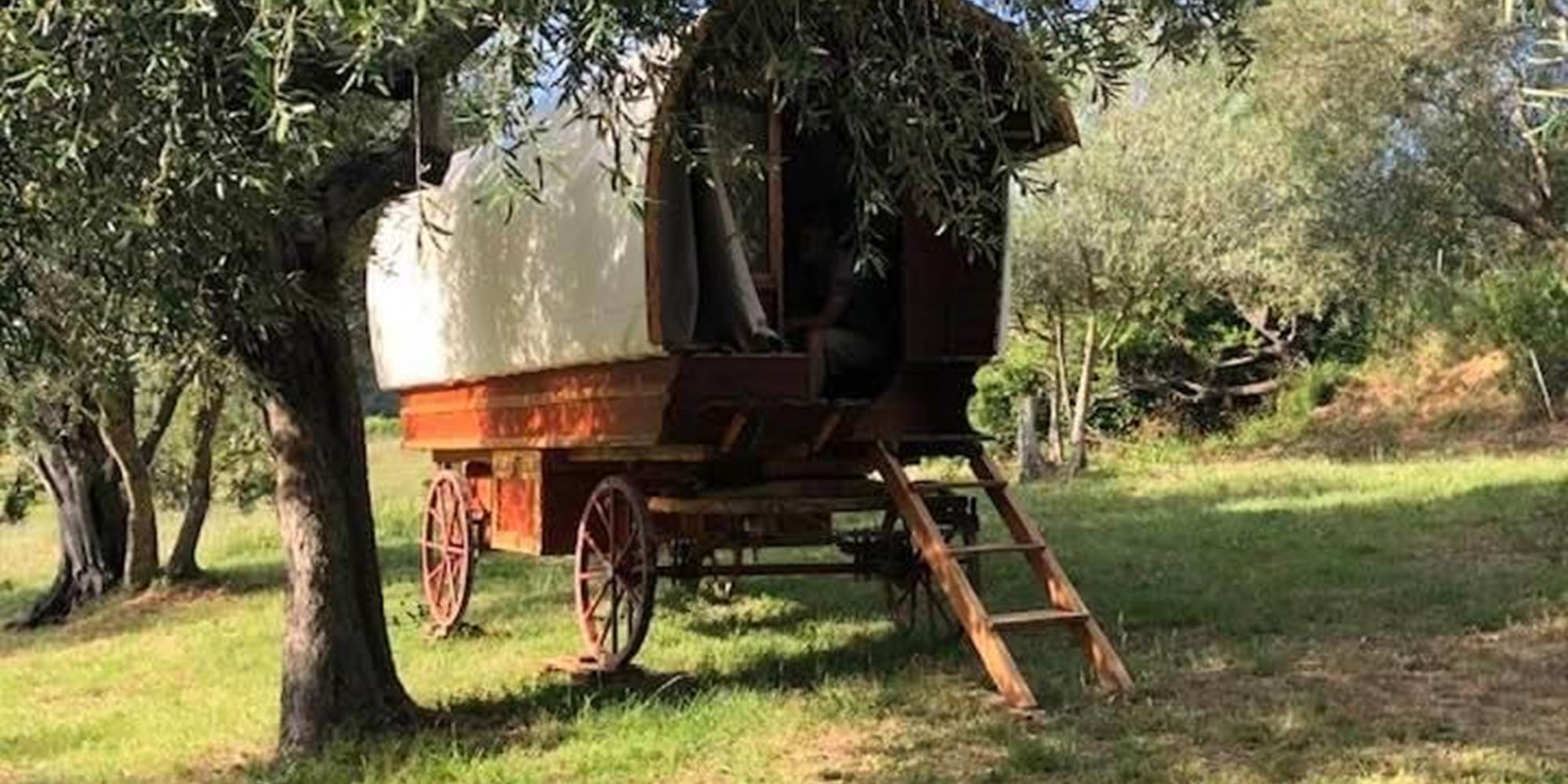 Authentique roulotte hongroise