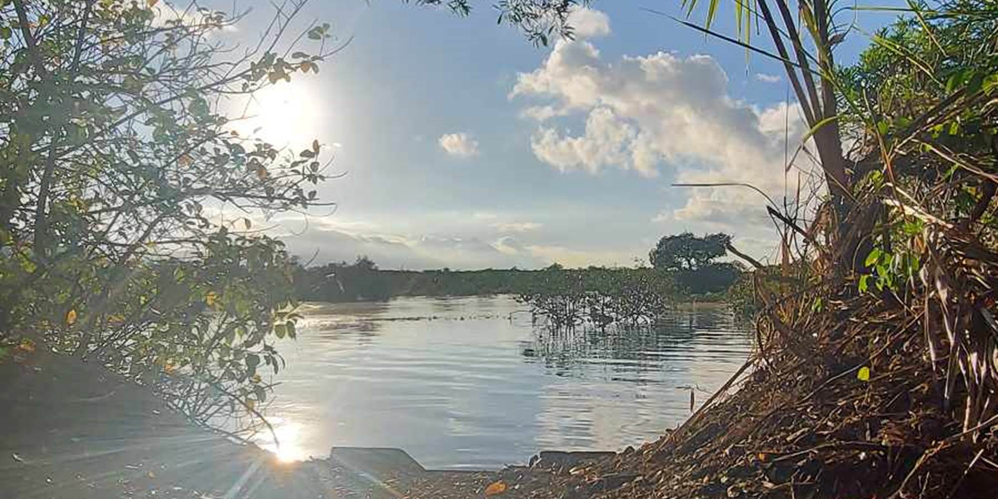 433978168_1441151096484235_211153177035012622_n