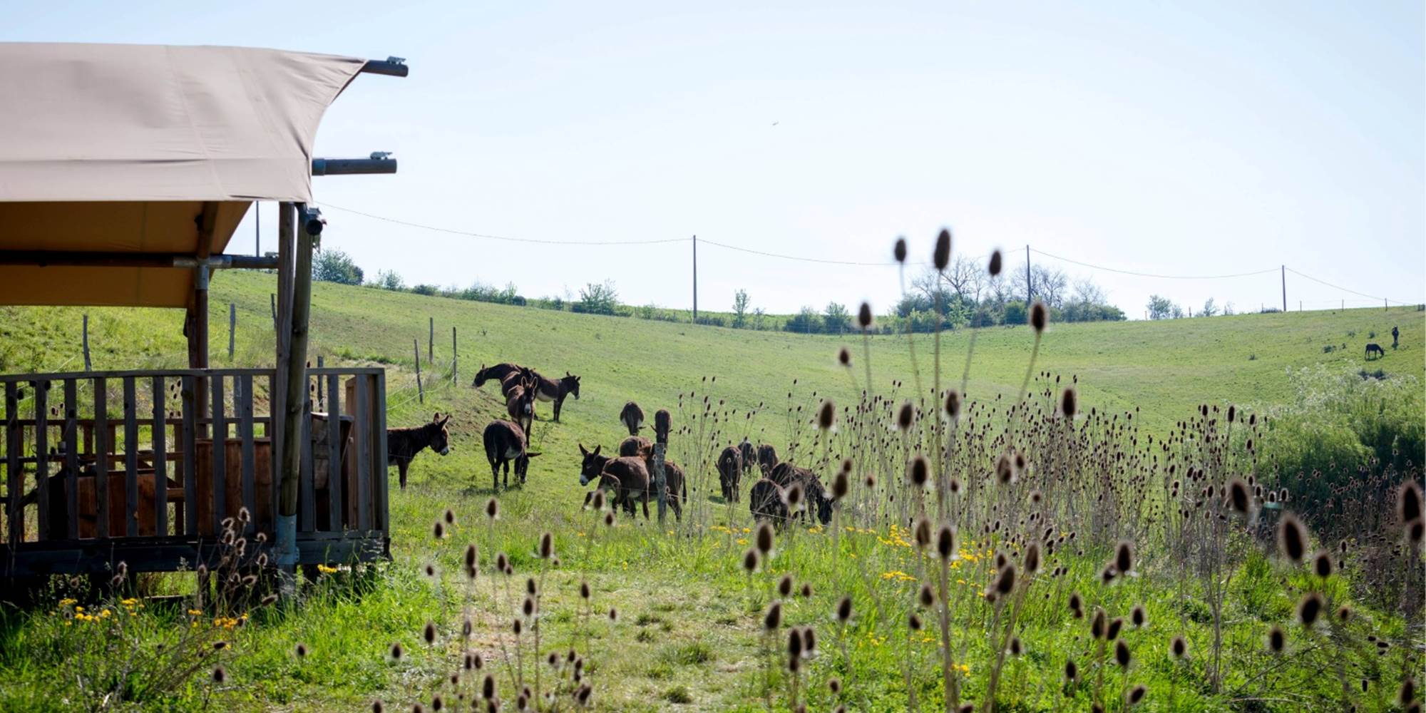 extérieur écolodge sunshine