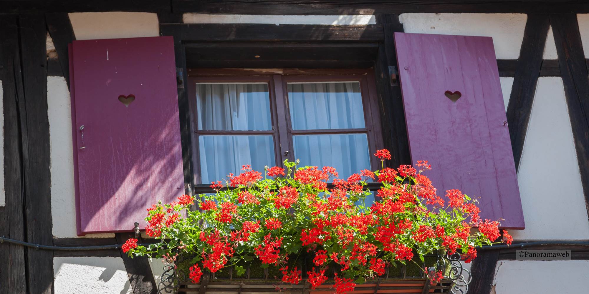 Fenêtre Façade  Alsace Hotel Restaurant Zum schnogaloch Alsace Obernai