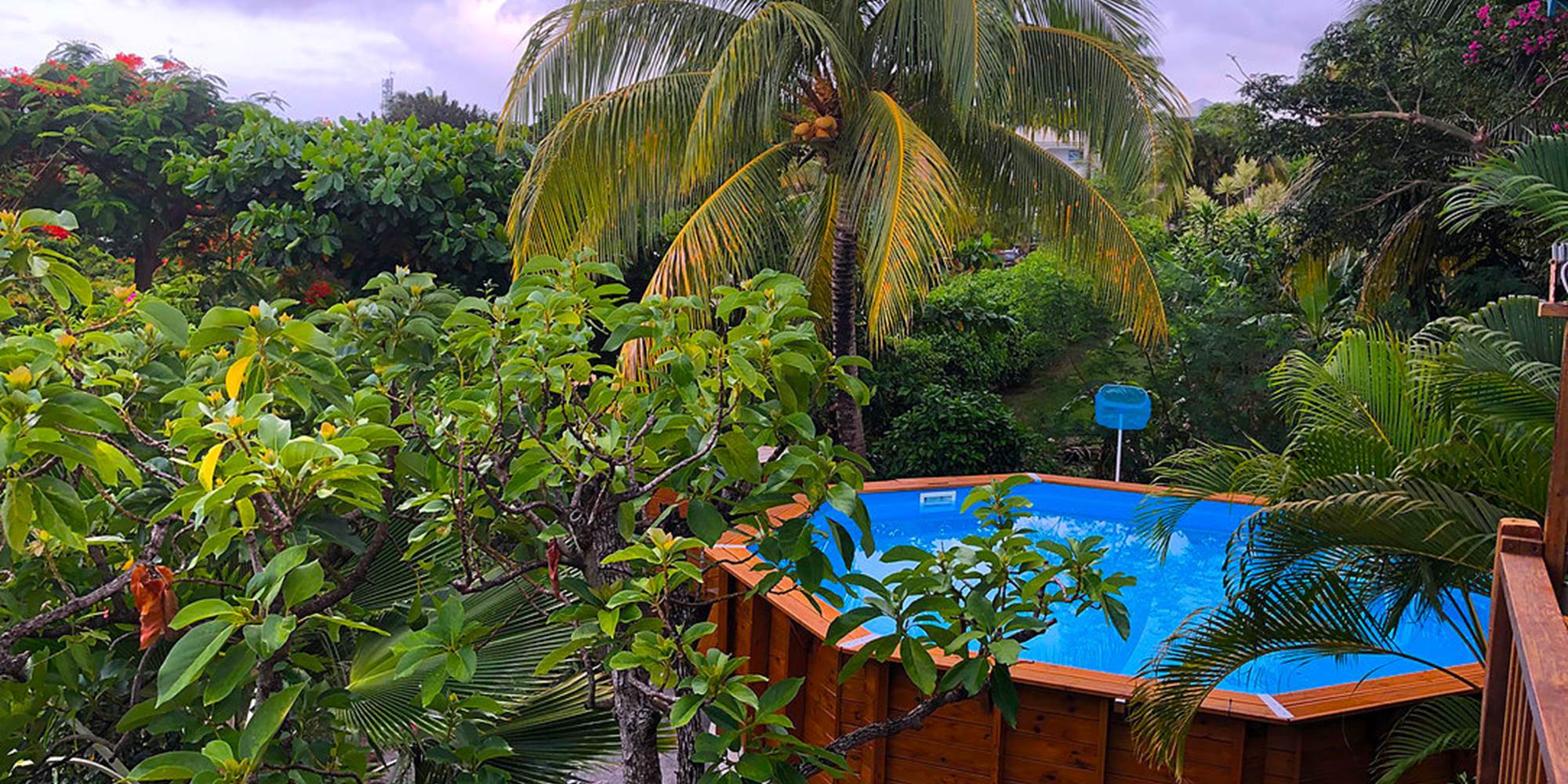 Piscine vue depuis la terrasse du séjour