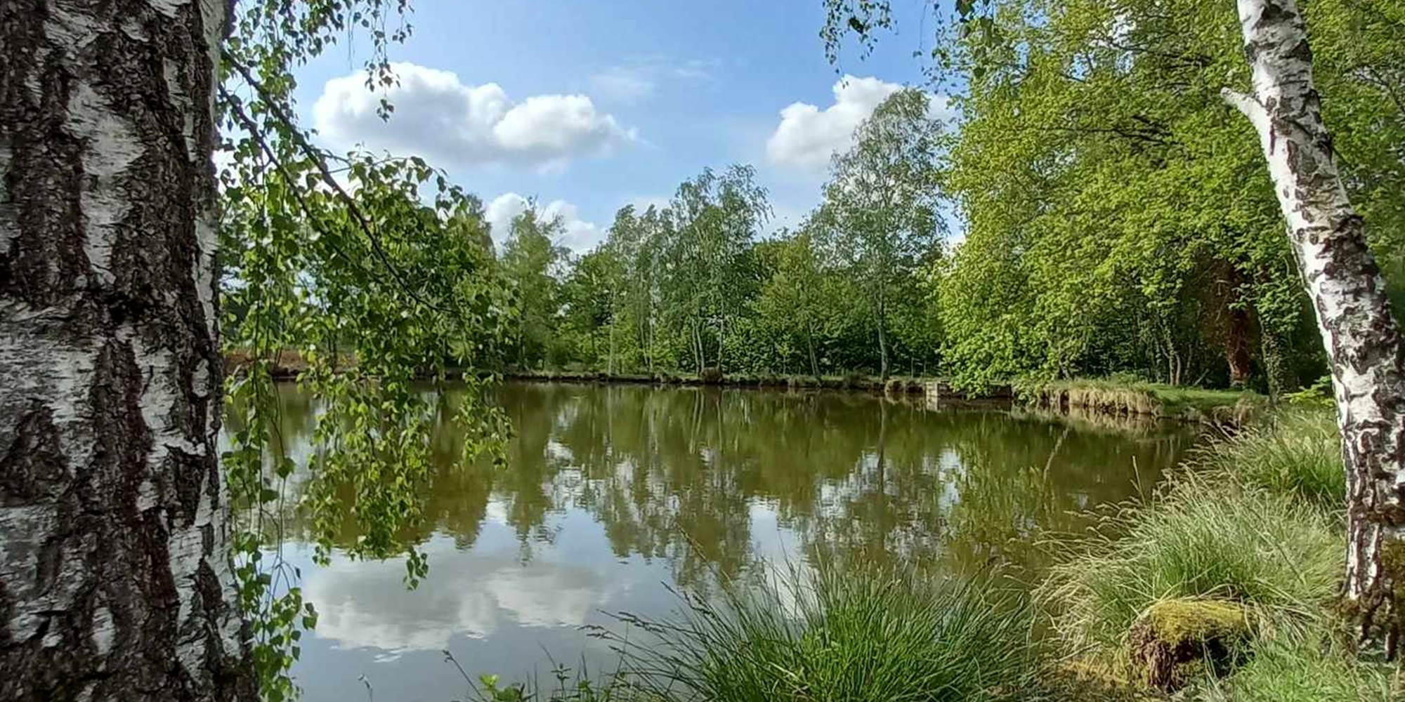 Vu étang côté droit