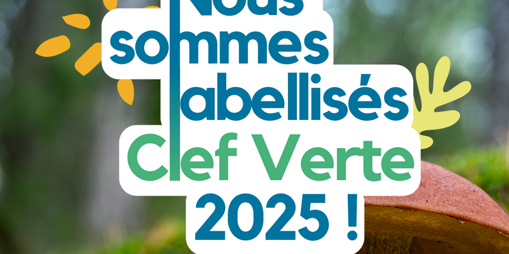 Nous sommes éco-responsable