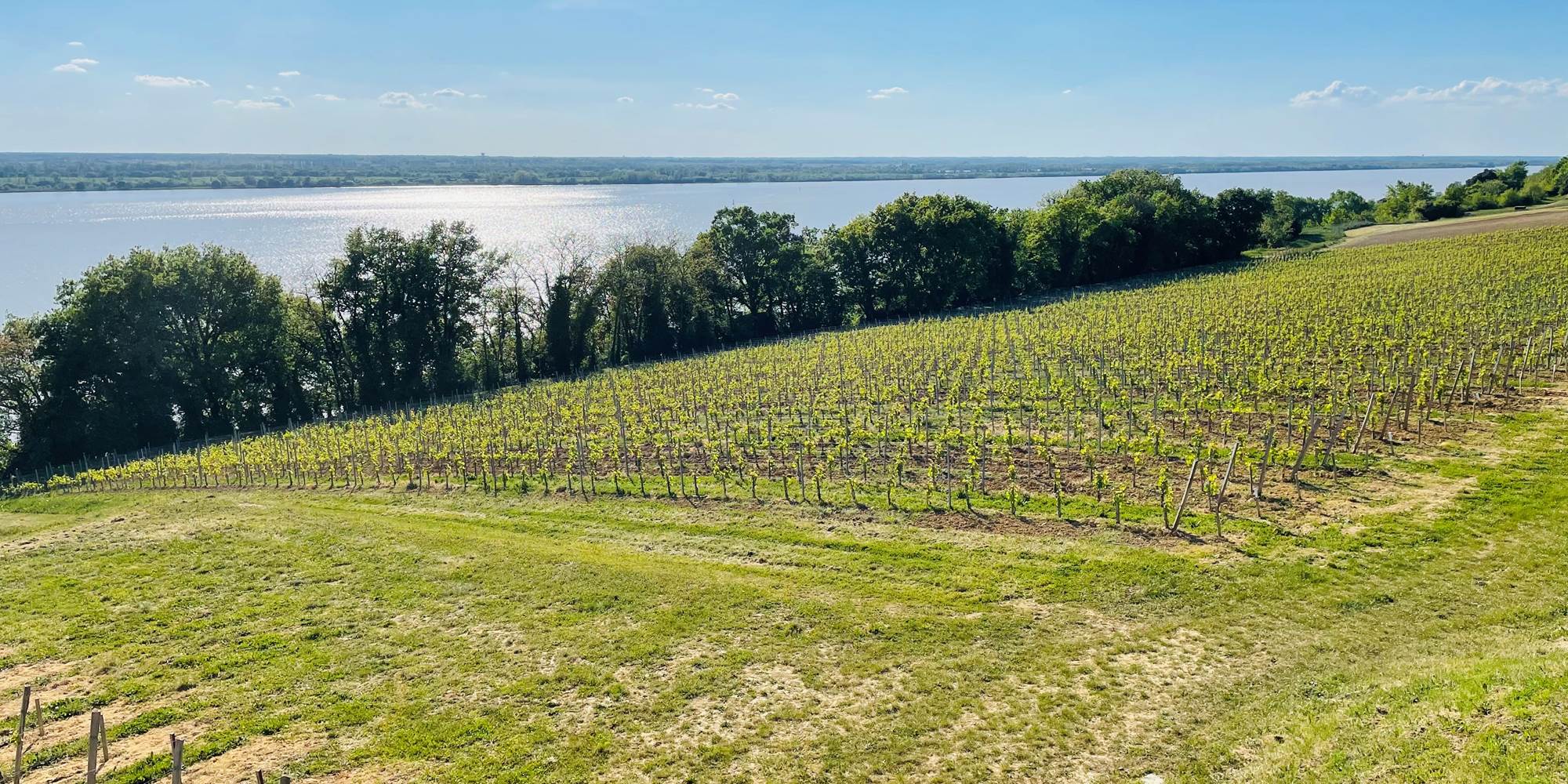 Zicht Gironde