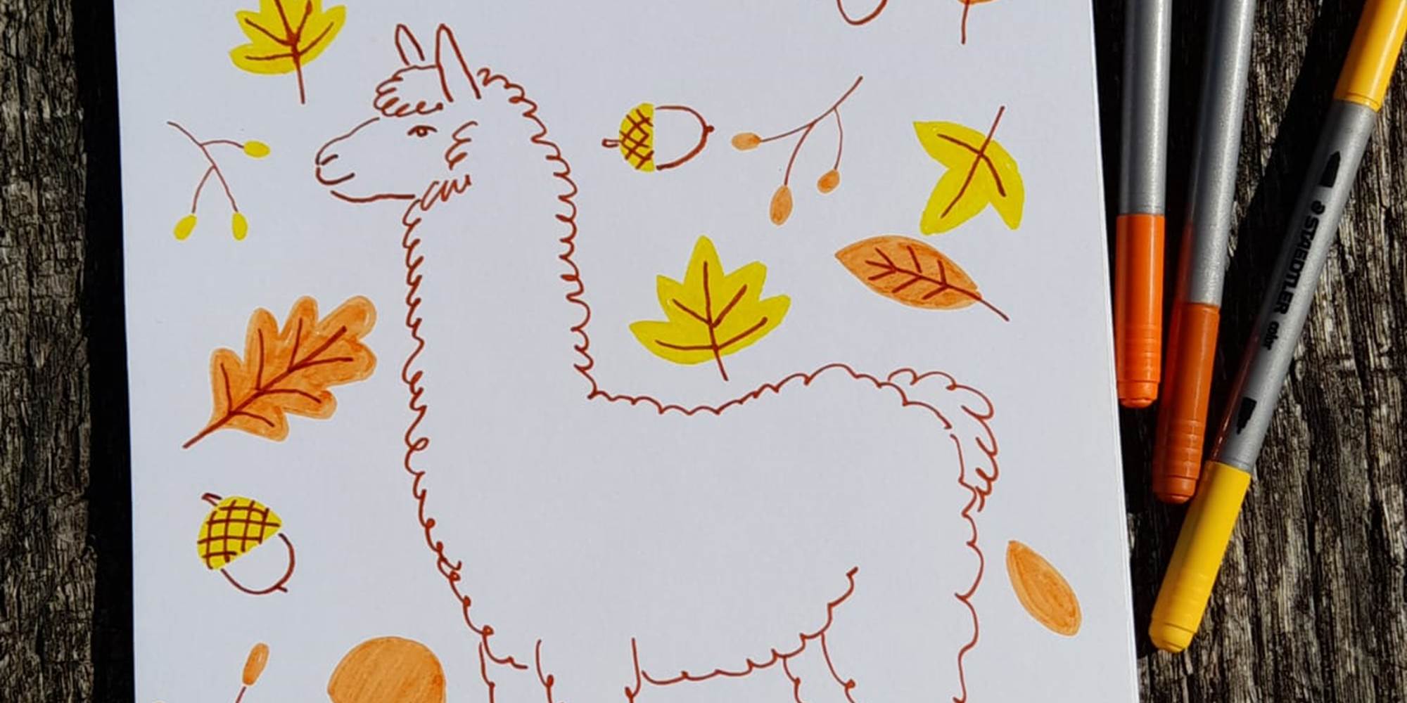 atelier dessin, automne