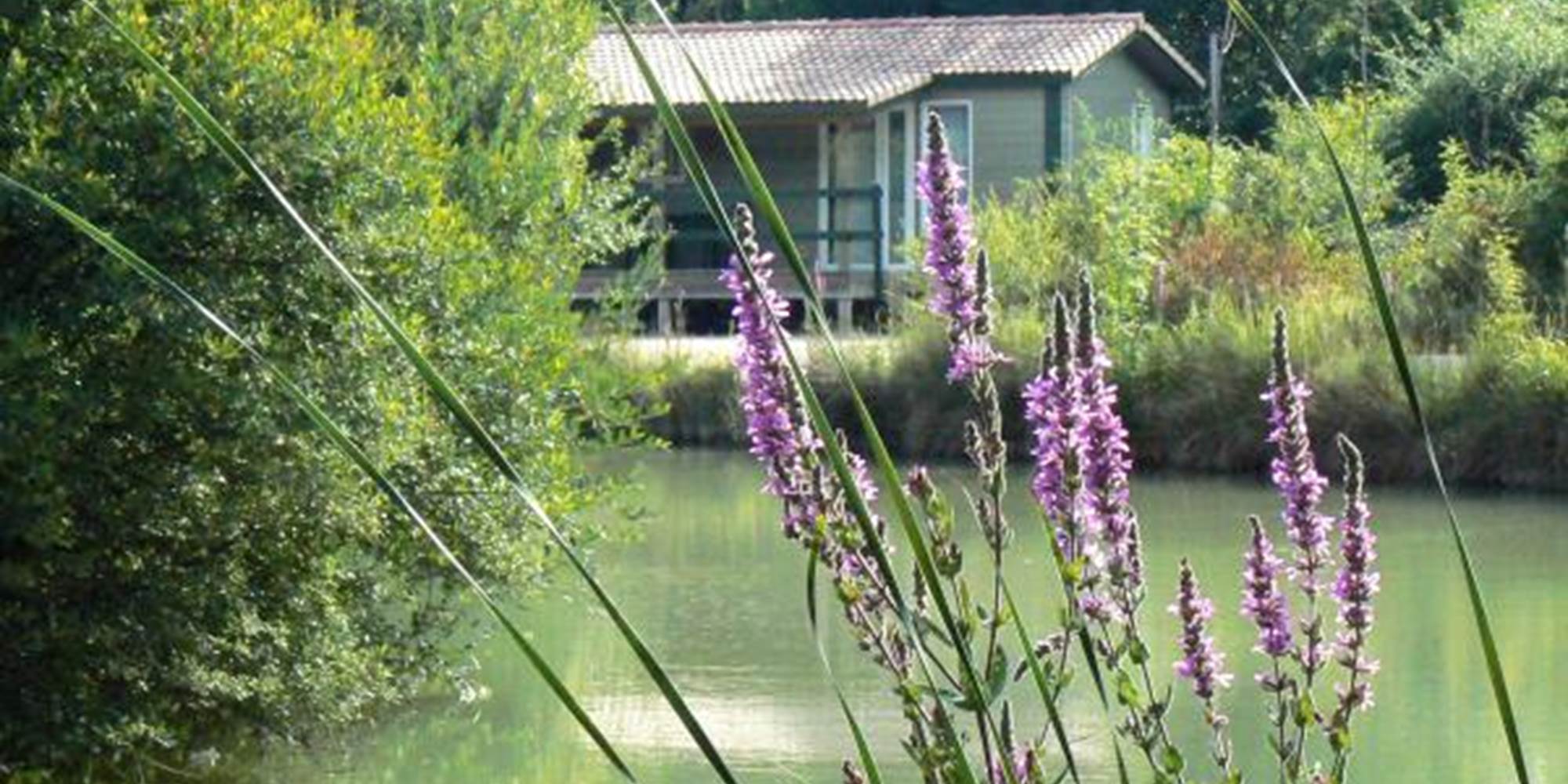 chalet autour de l'étang