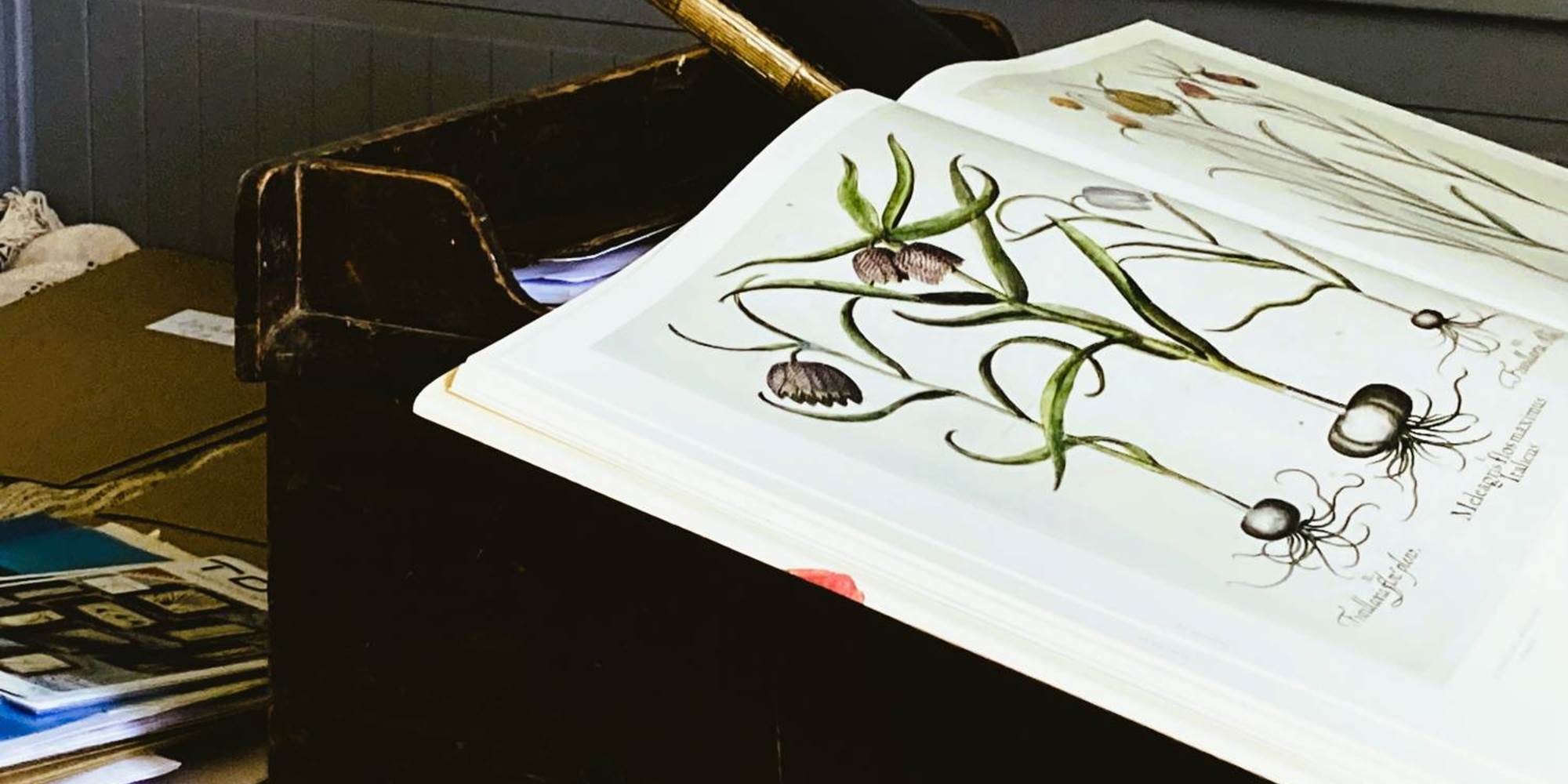 Ateliers de Siorac