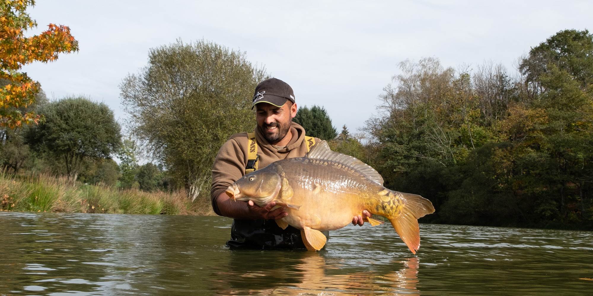 carpe miroir puyregonde R