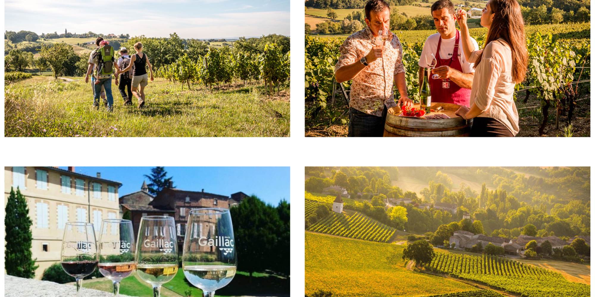 Vignobles Gaillac