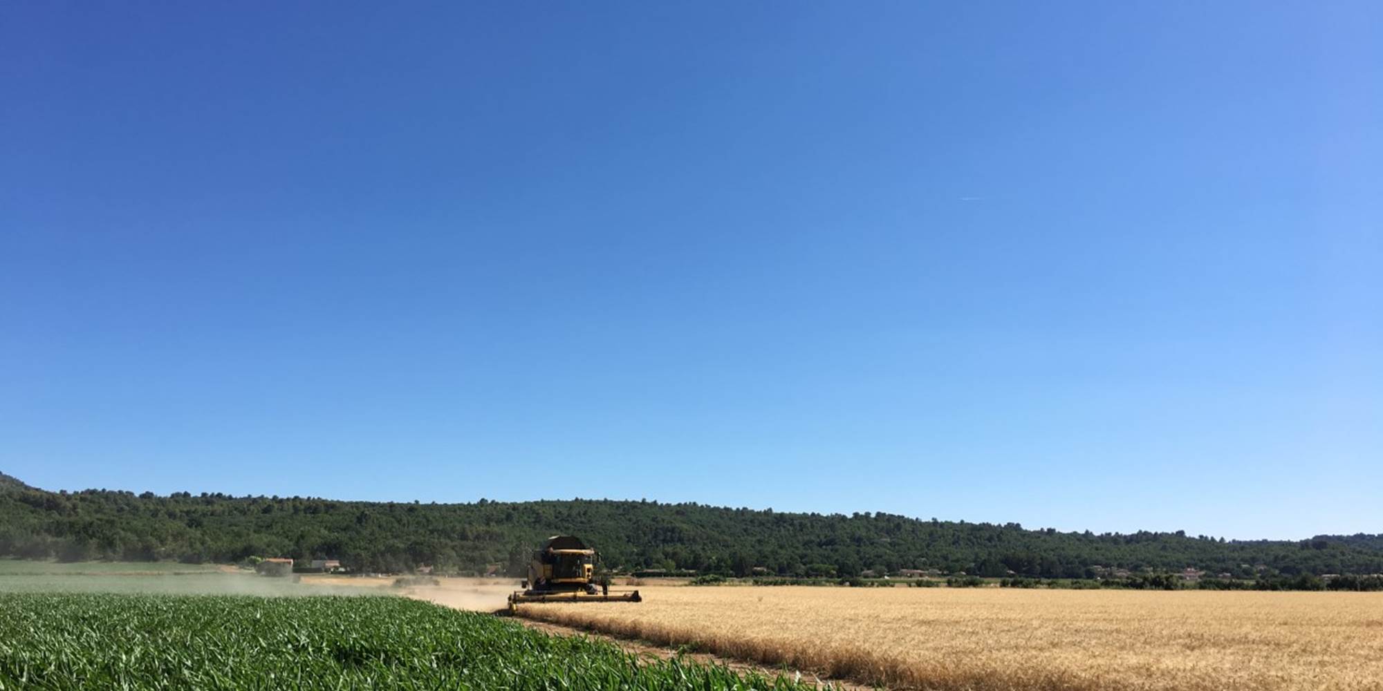 Le temps des récoltes sur le domaine