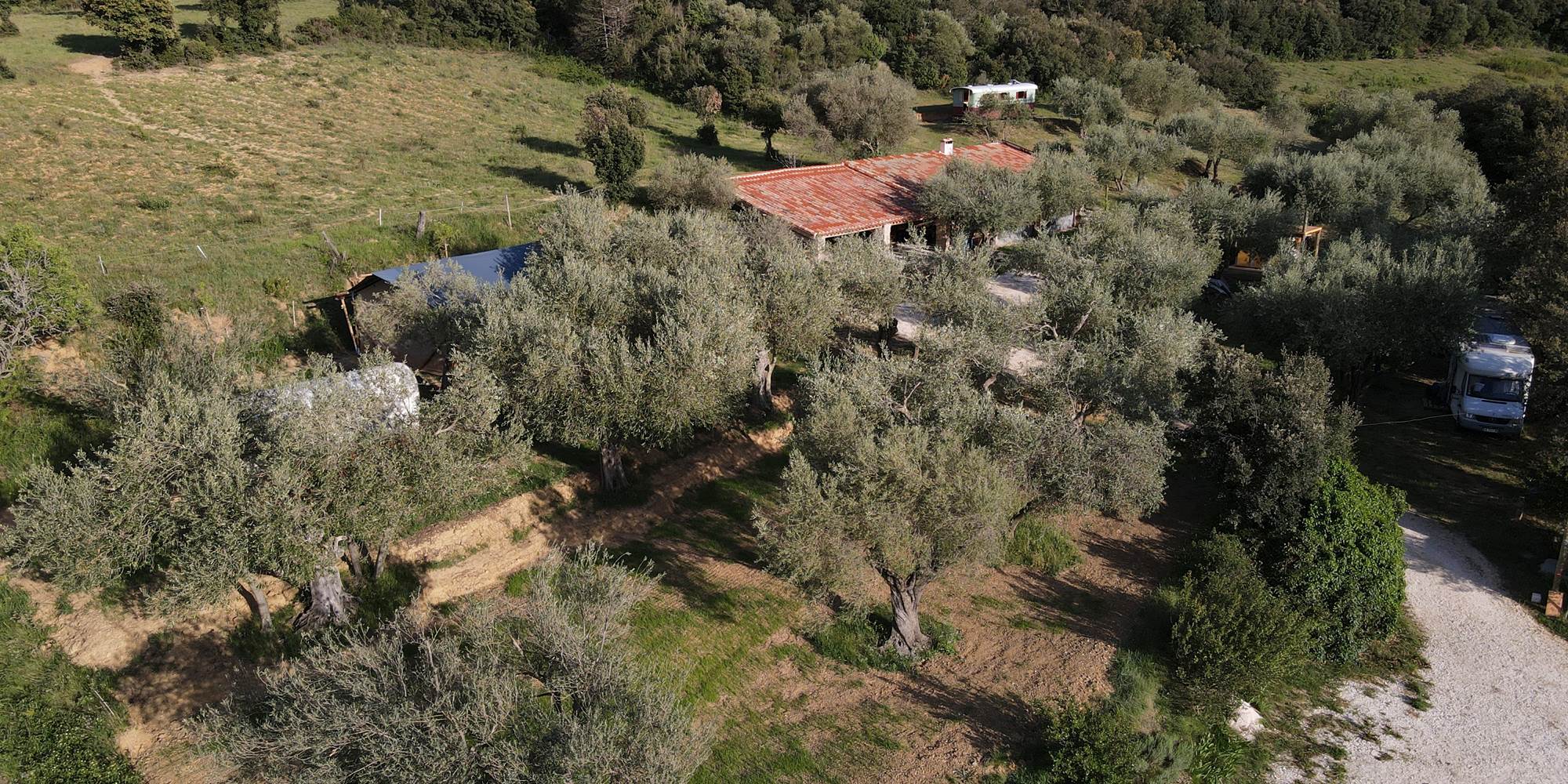 Camping sous les oliviers
