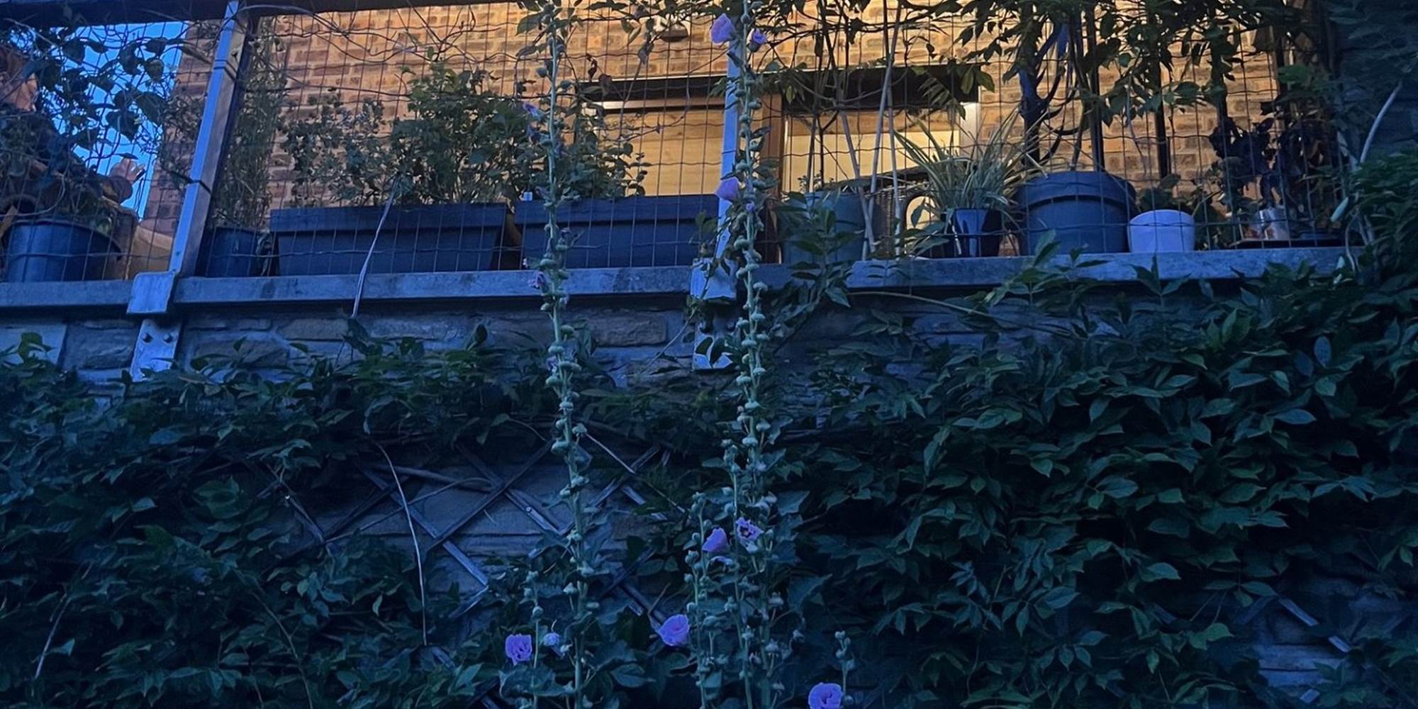 Terrasse arrière soir
