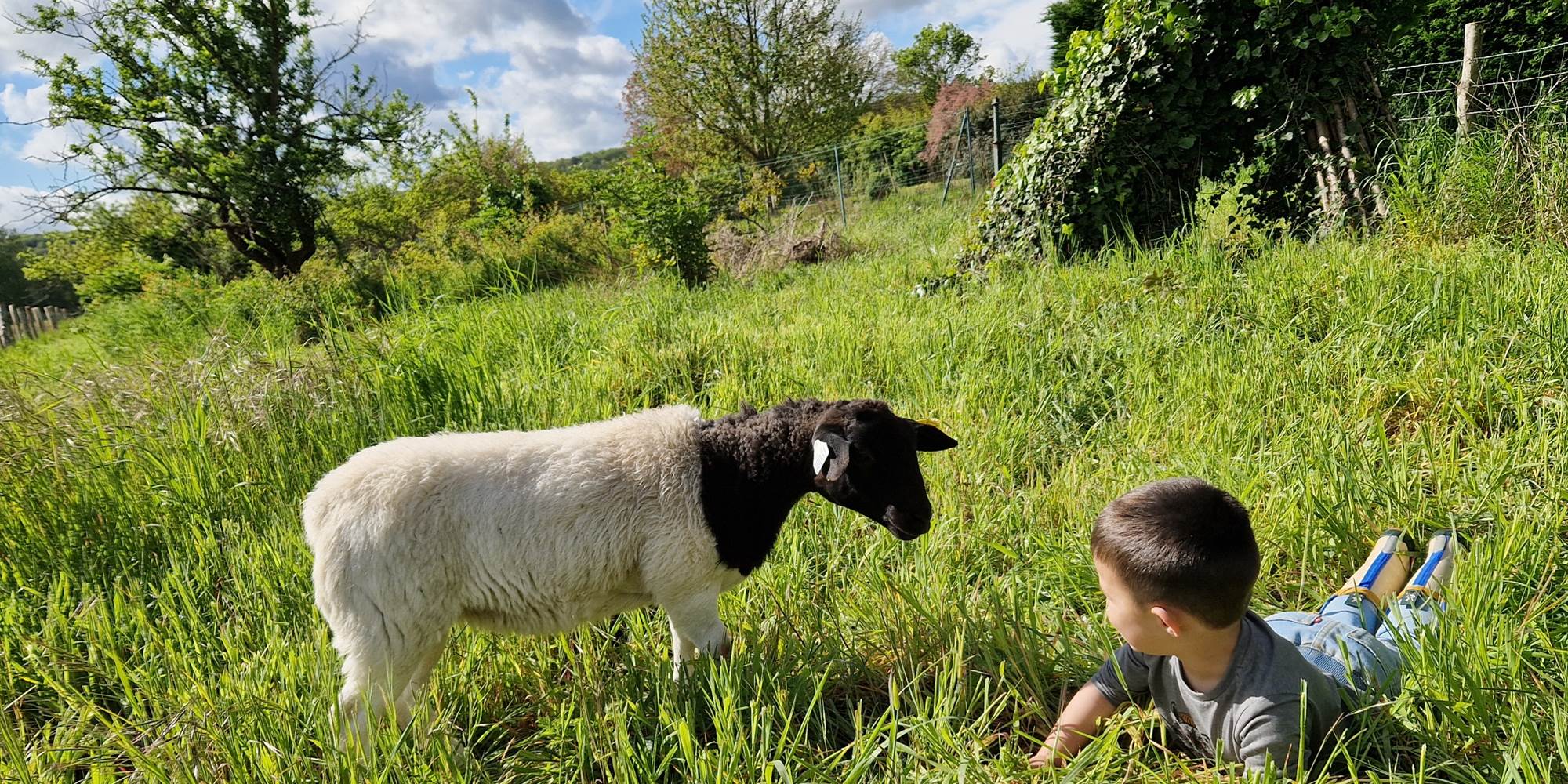 Gîte champêtre avec vue dégagée sur la campagne de Touraine, calme et authenticité au rendez-vous