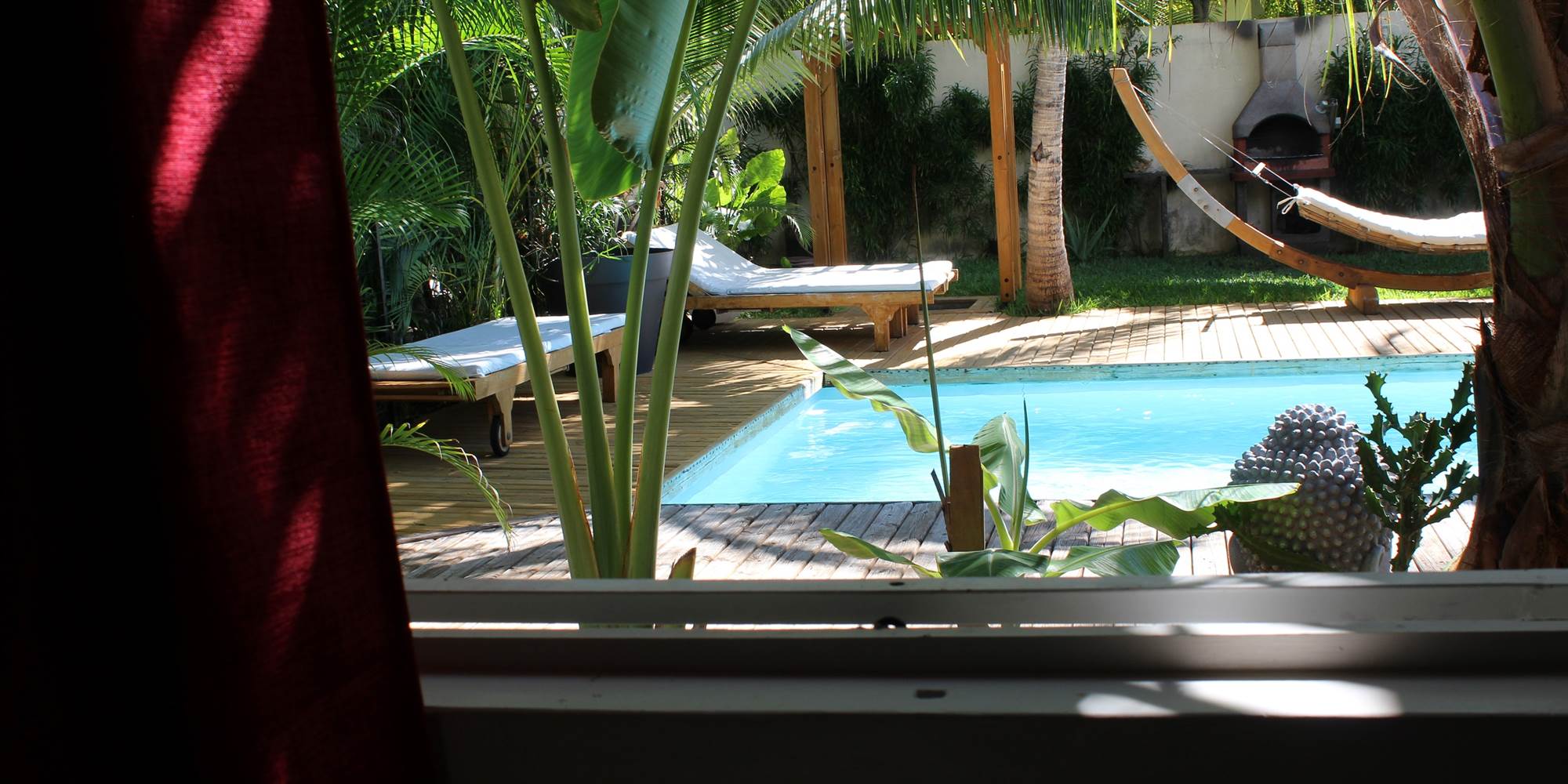 YUCCA Vue depuis la chambre-presta