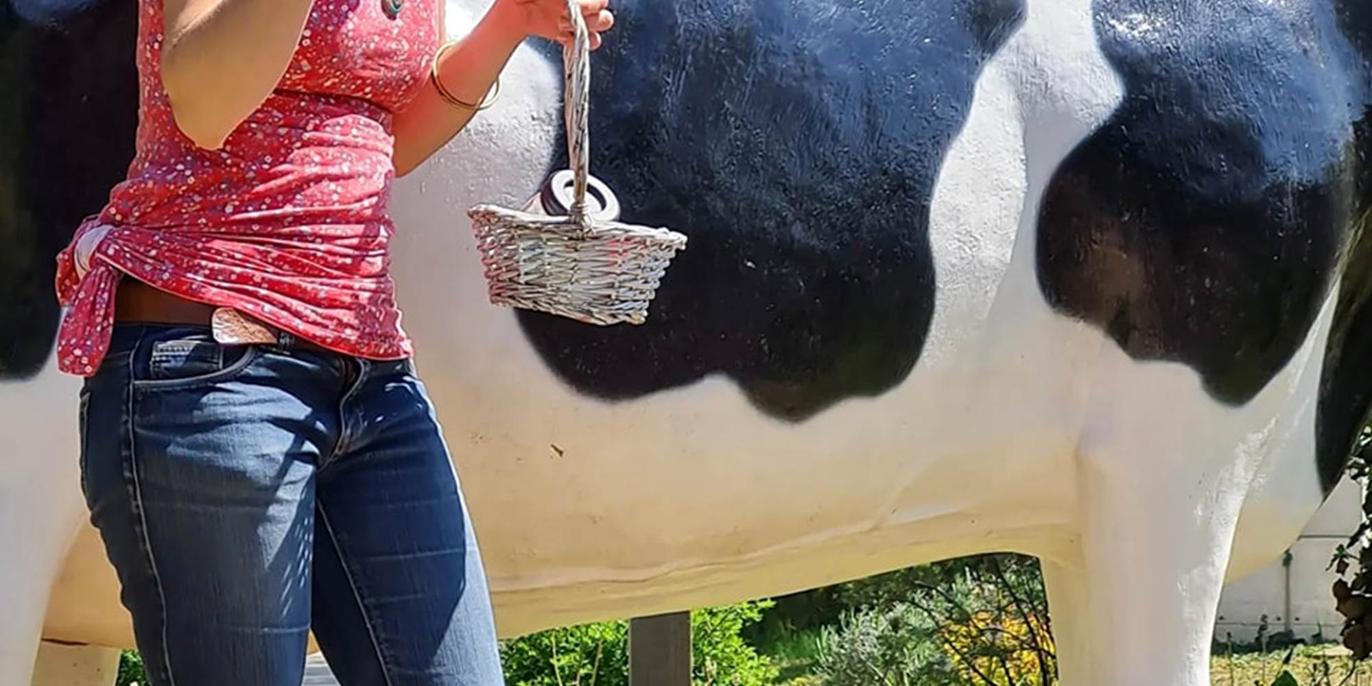 Visite petit marché du glacier, ferme des délices foréziens