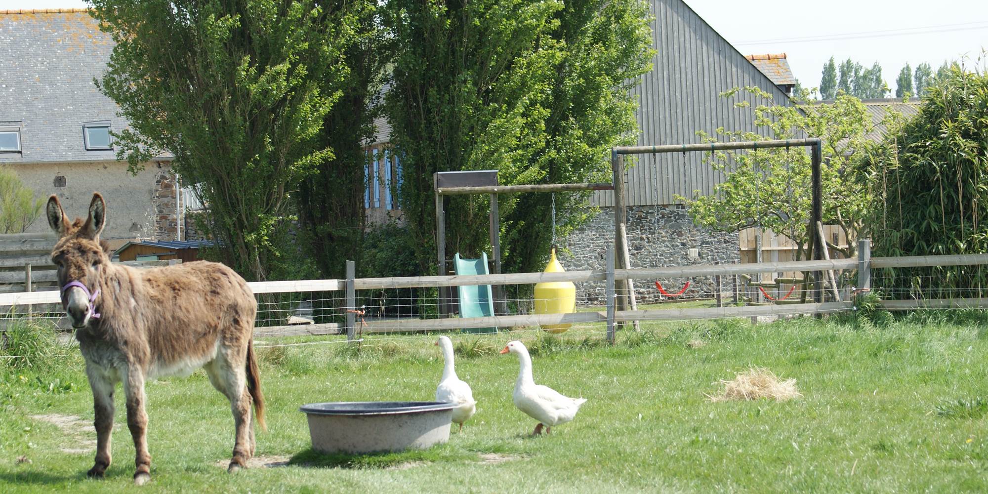 DSC00260