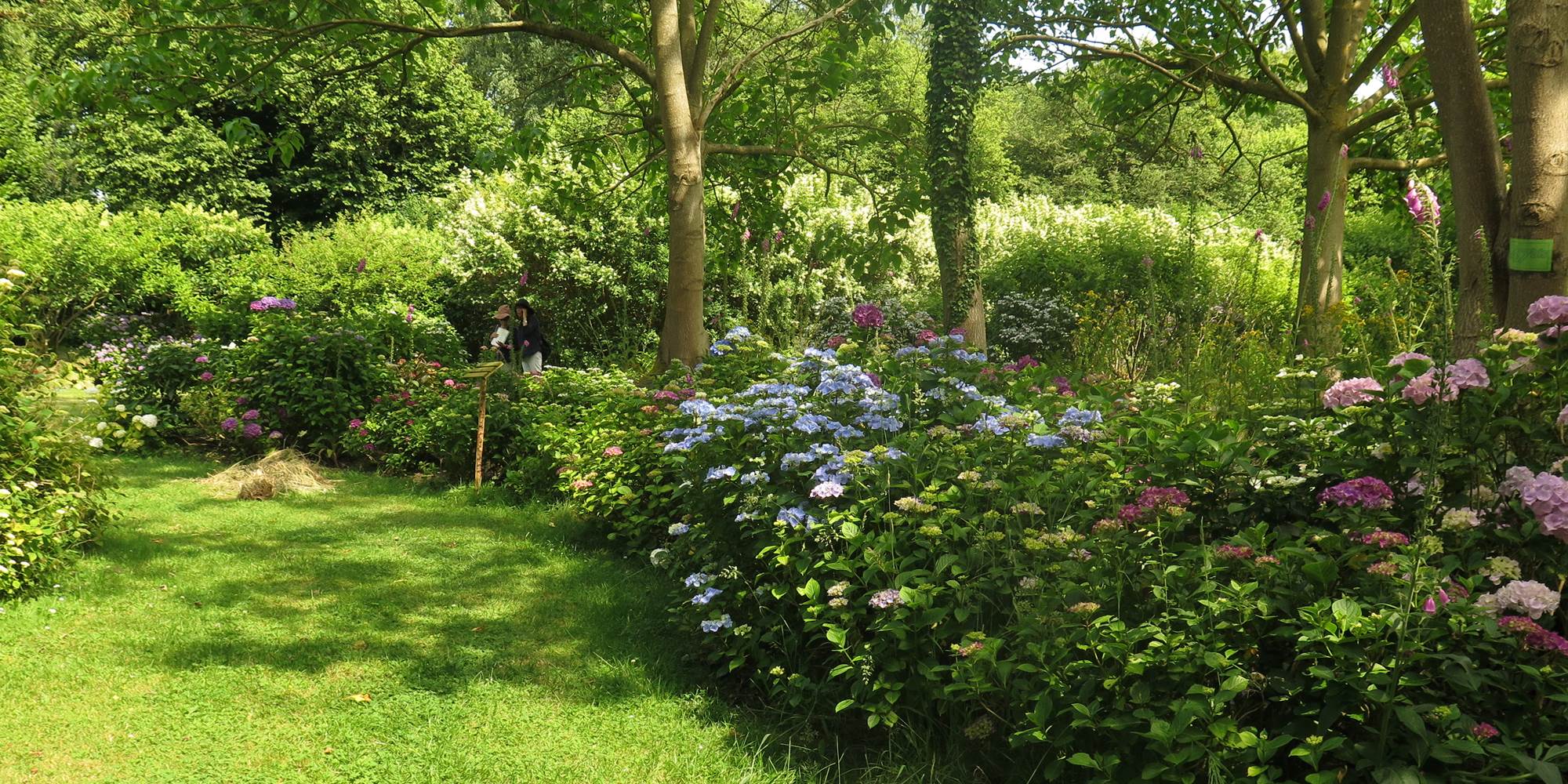 Jardin Shamrock - Varengeville sur mer