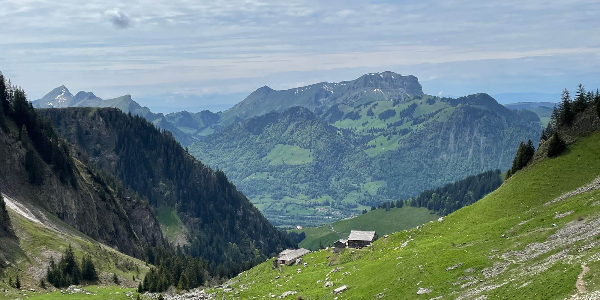 Randonnée proche du studio - vue sur le Moléson depuis Bounavaux