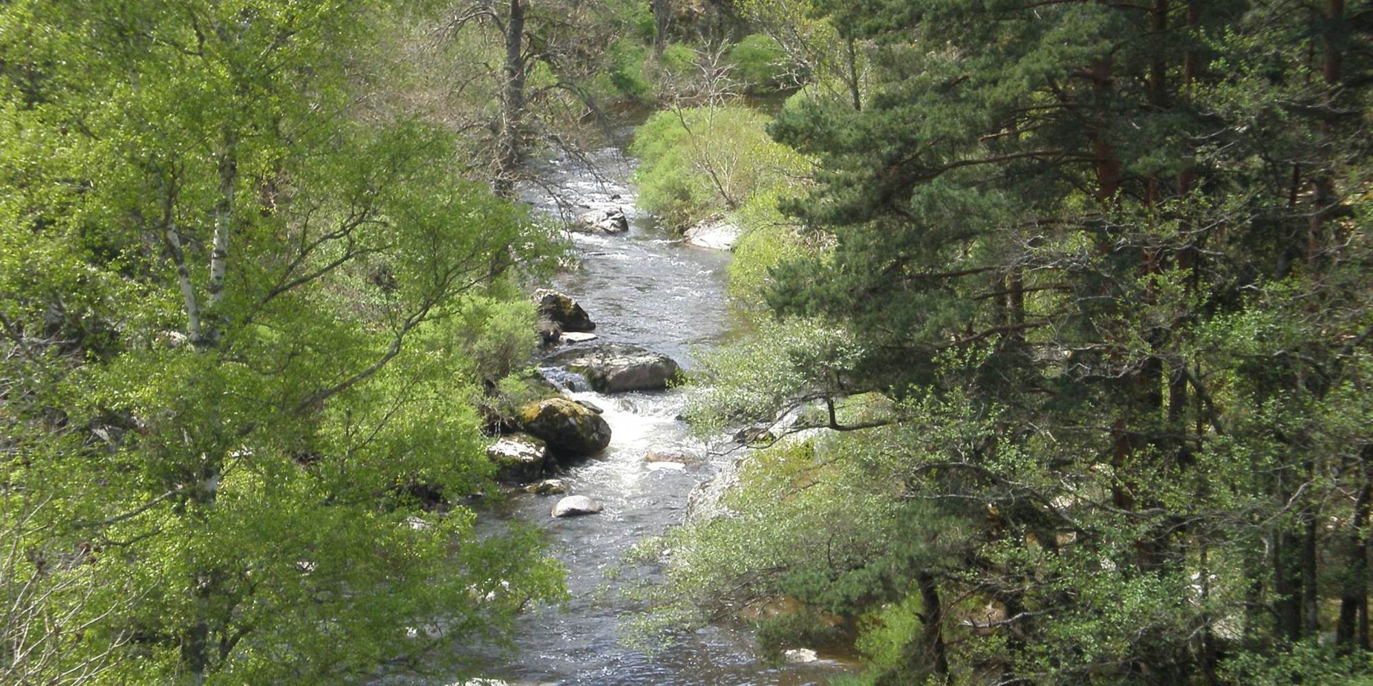 Le ruisseau le Grandrieu