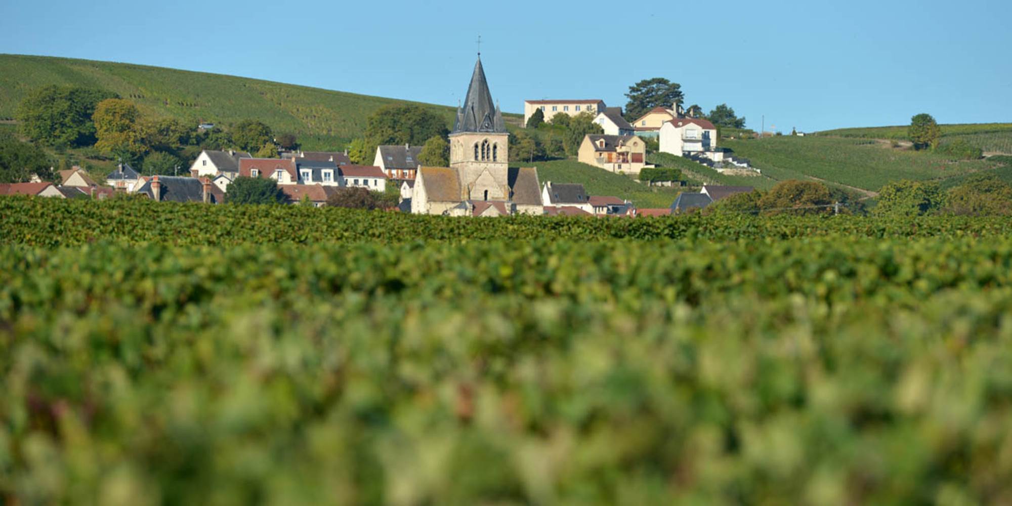 Sur la route des champagnes