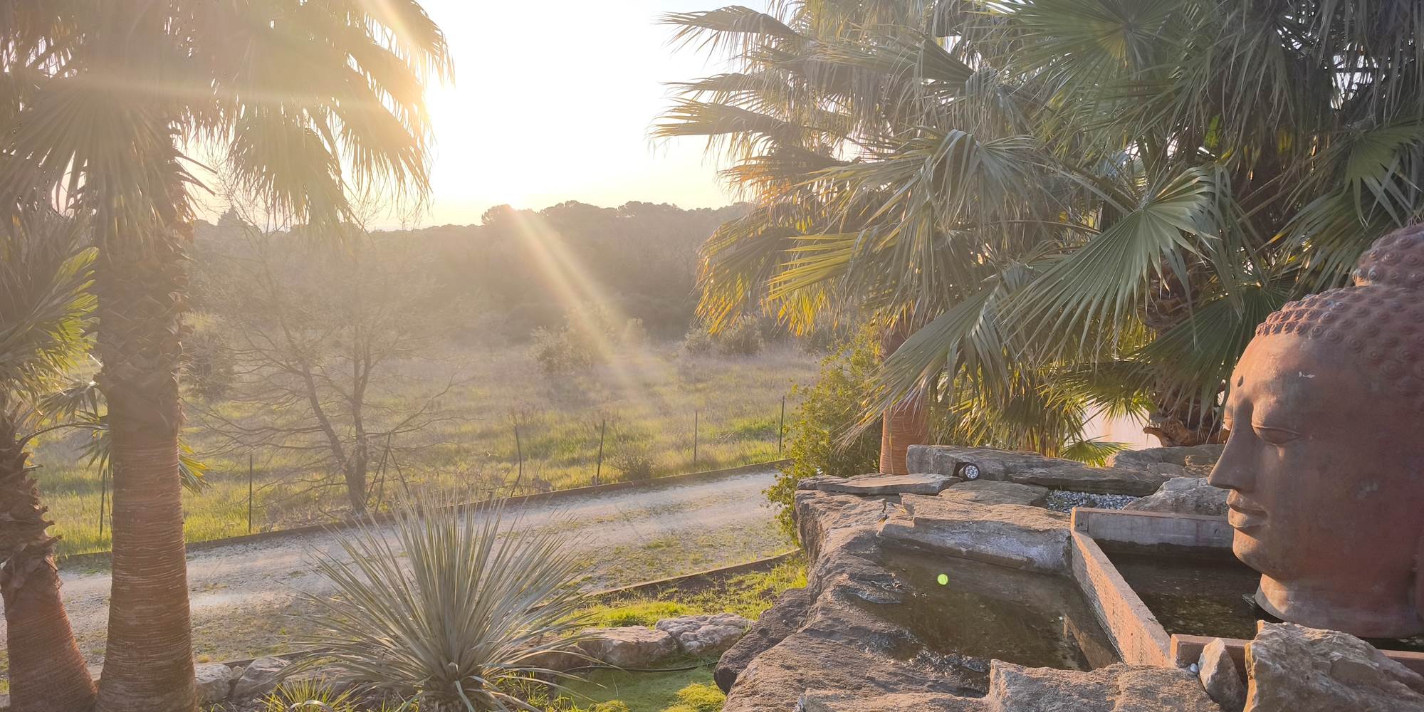 Coucher de soleil - Domaine de Jolio