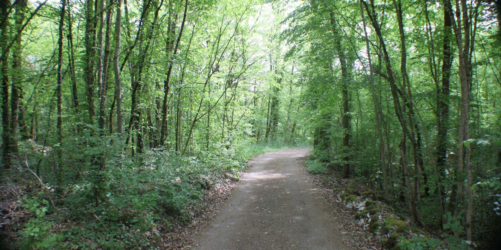 accès sud