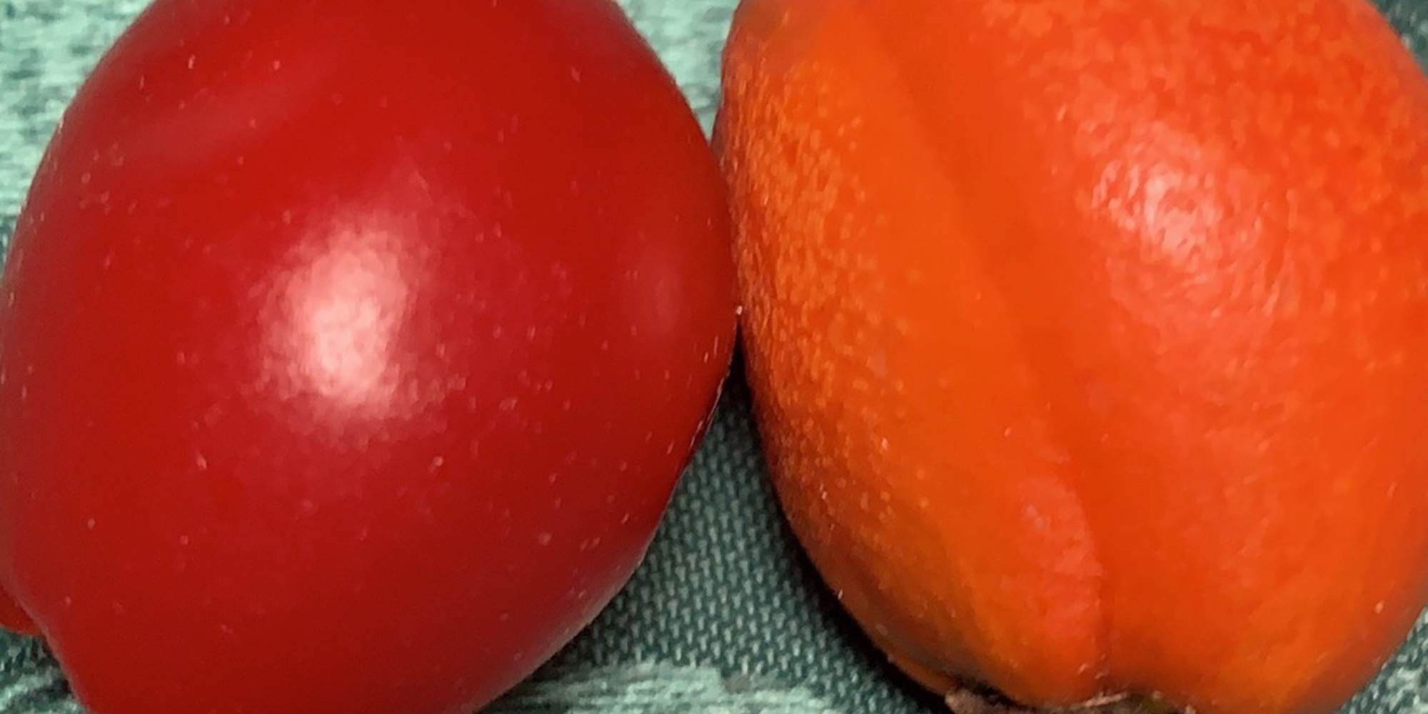 0F826A9E-130F-484C-9DE6-AB68E1E2661F_1_105_c