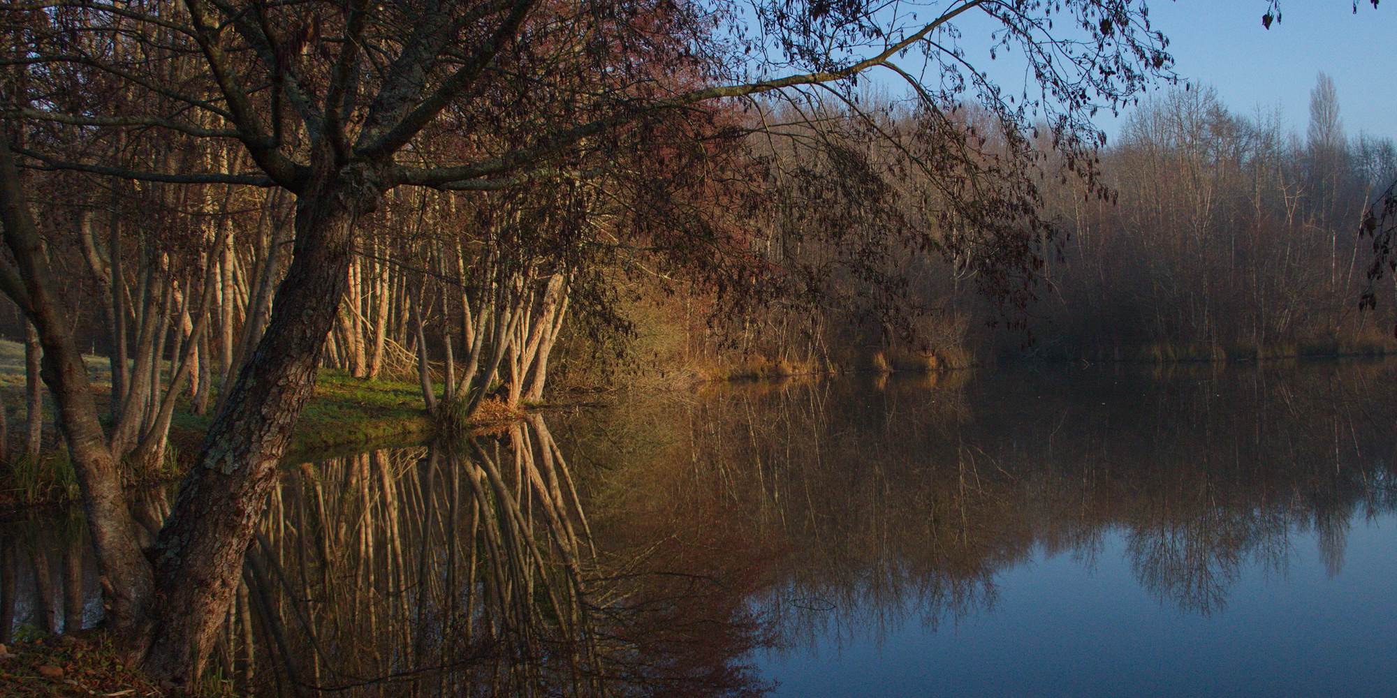 Le matin vue de la cour