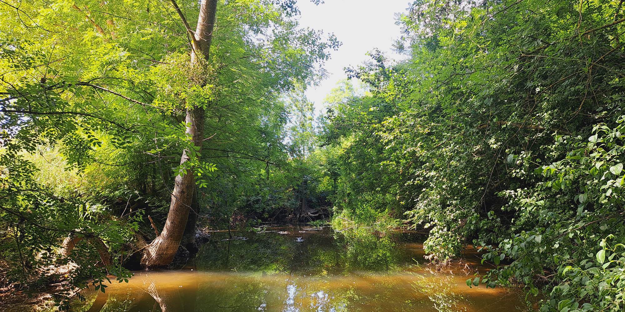 Le Logis du Meunier, logement insolite et romantique avec spa privatif