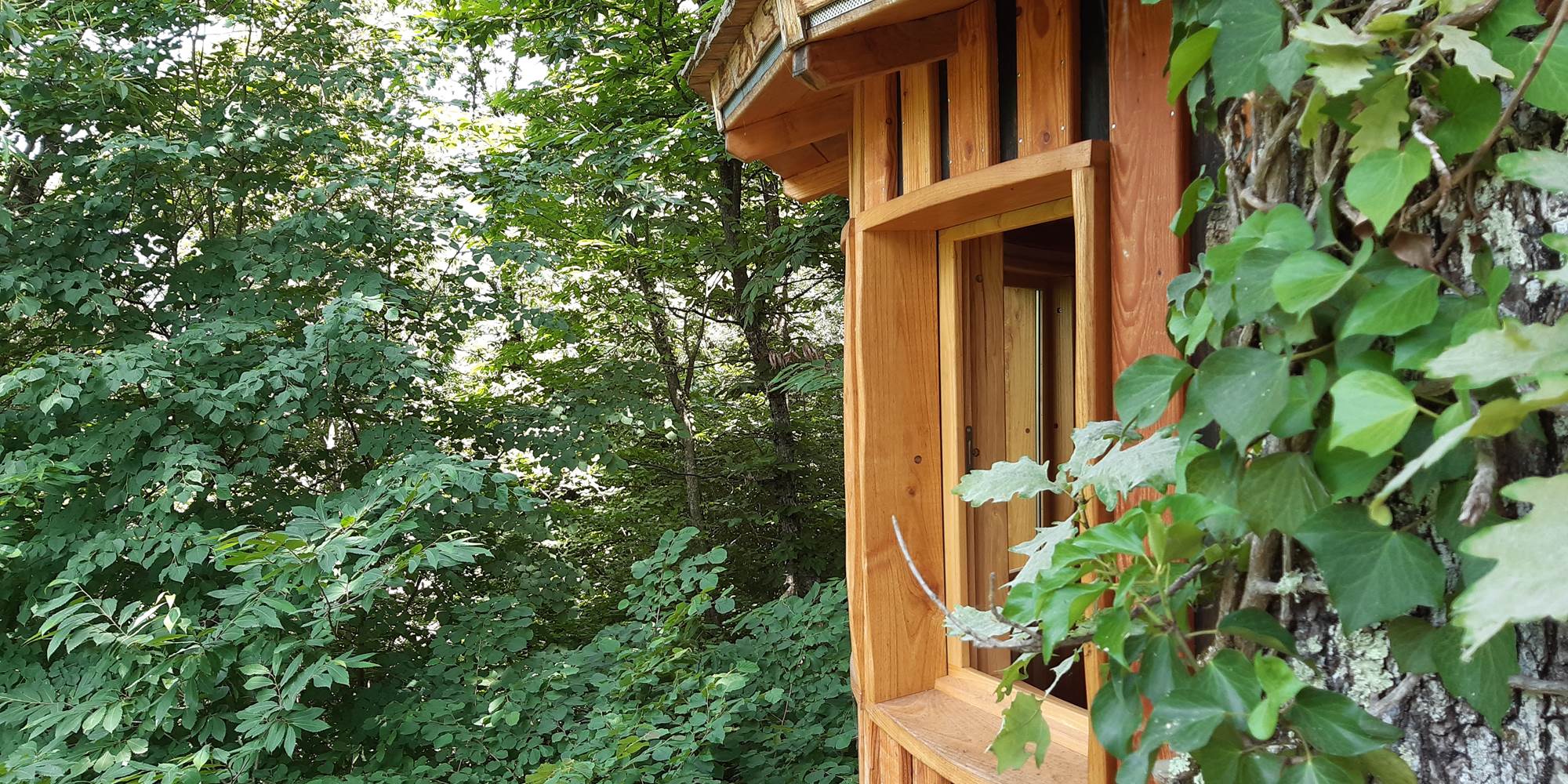 etre au plus prét des arbres