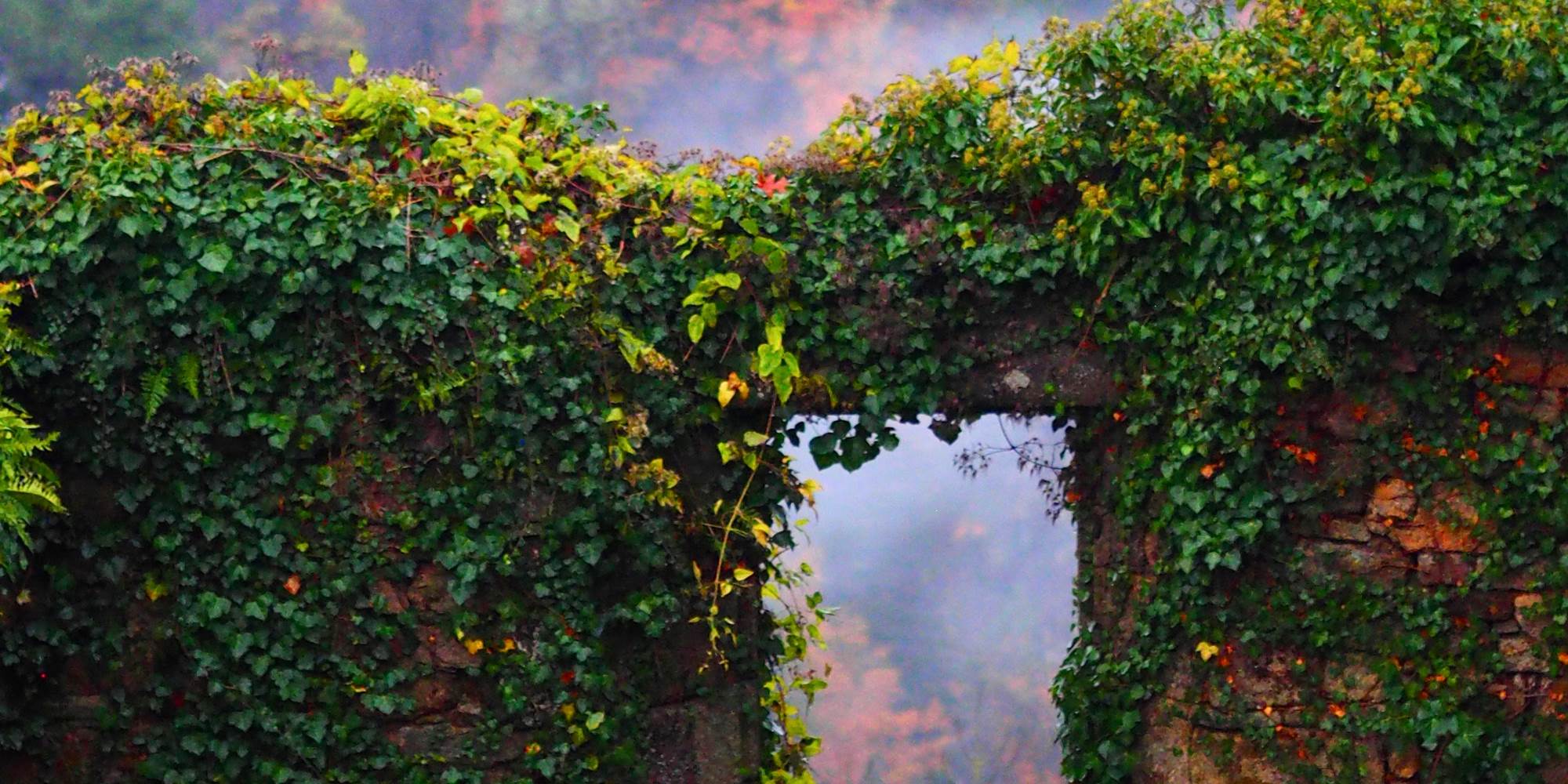 Vue d'Automne, depuis le "Jardin de la Cure", juste sous les Gîtes "Le Chant des Sources", à Gimel-les-Cascades (19).